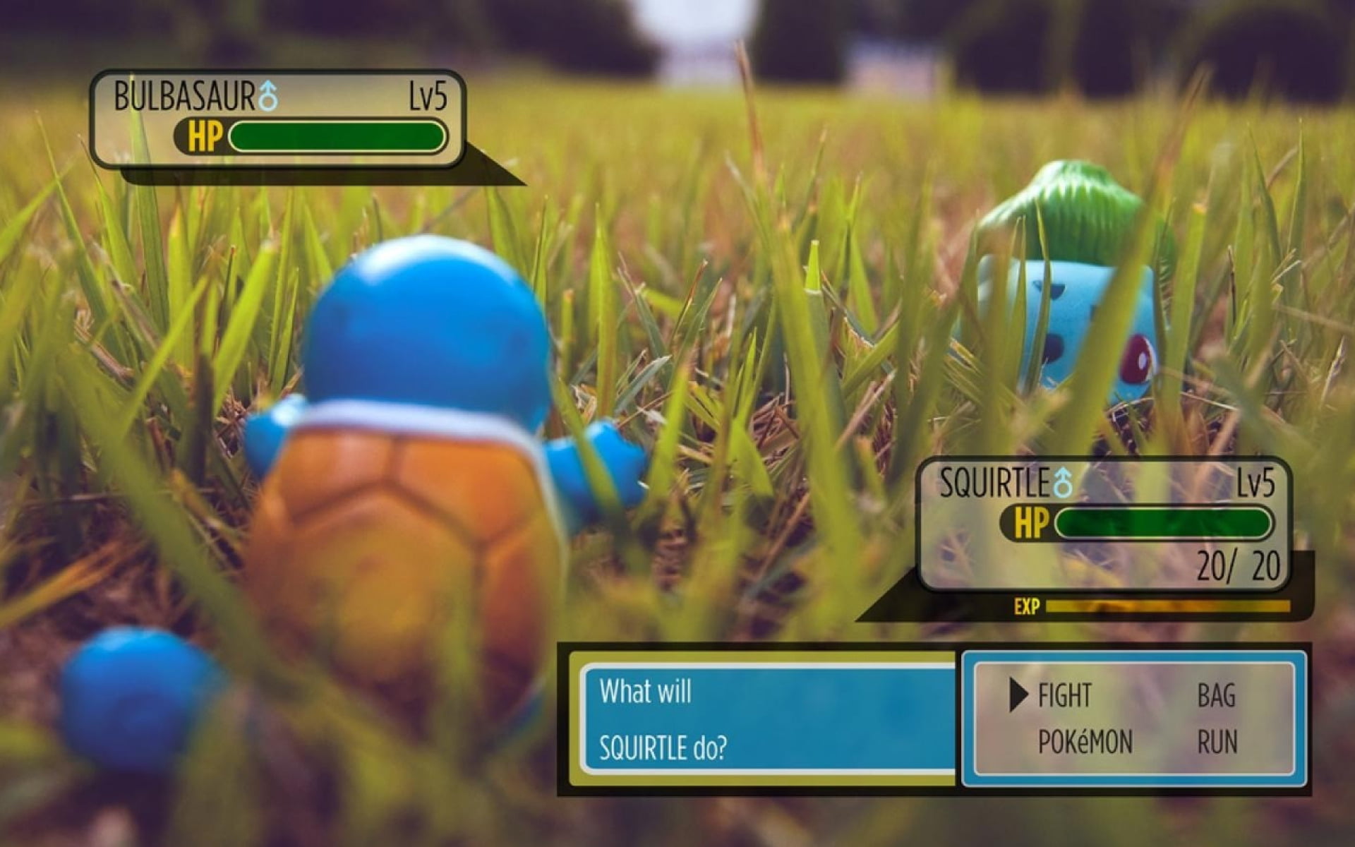 Pokemon: FireRed and LeafGreen, communication, land, outdoors, symbol, squirtle, sign, green Color, selective focus, retail, field, plant, 1080P, focus on foreground, HD Wallpaper