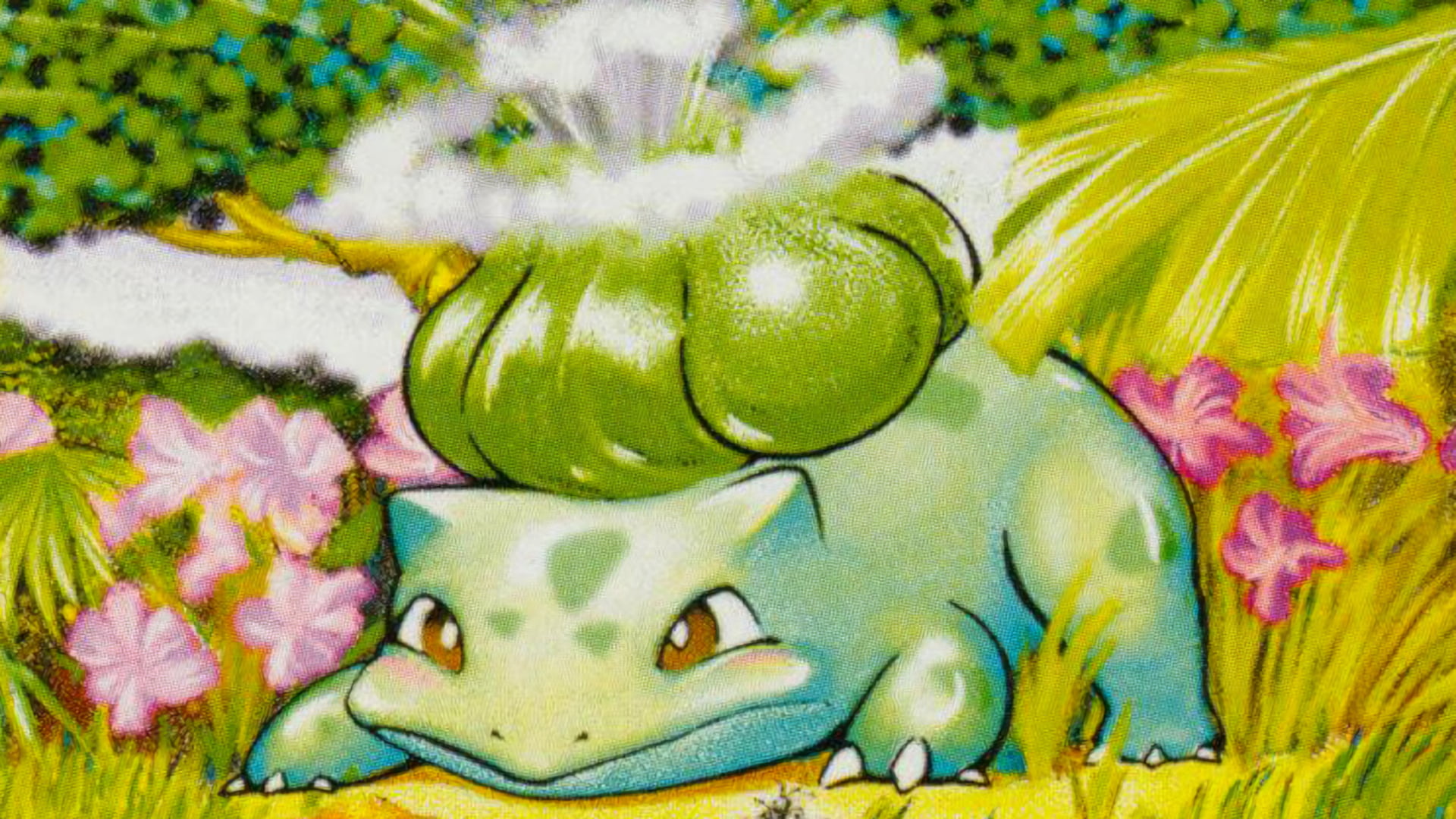 Pokemon TCG, 1080P, Pokémon, Bulbasaur (Pokémon), HD Wallpaper