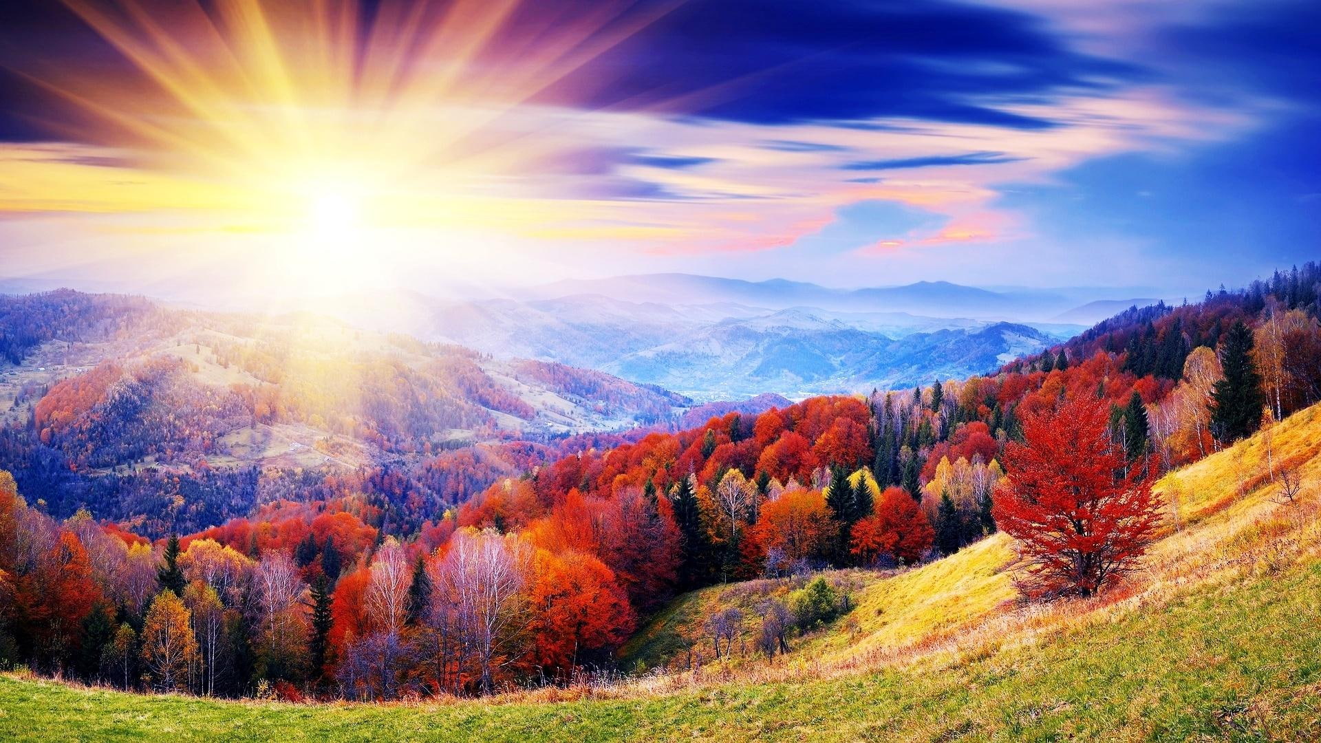 forest, hills, autumn, nature and landscapes, glorious, day, 1080P, HD Wallpaper