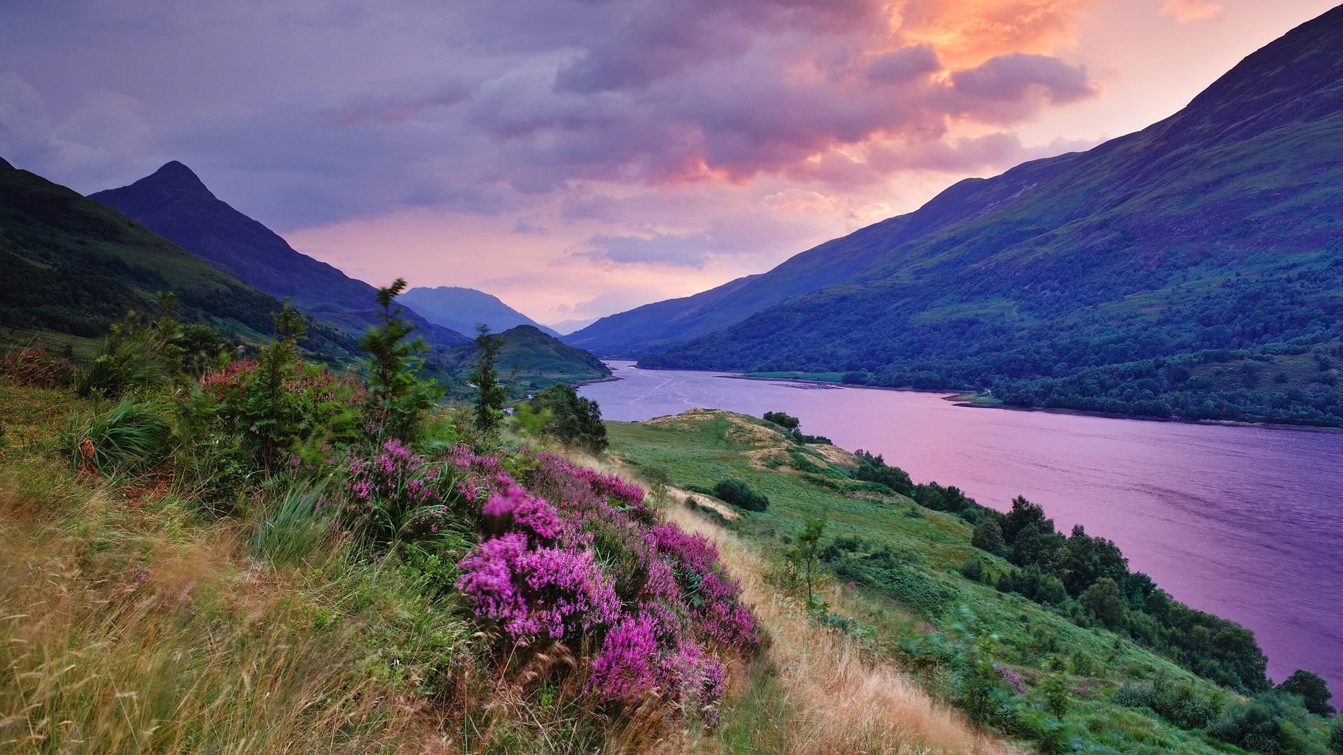 mountains, scottish, river, clouds, color, 1080P, flowers, glorious, pink, highl, nature and landscapes, HD Wallpaper