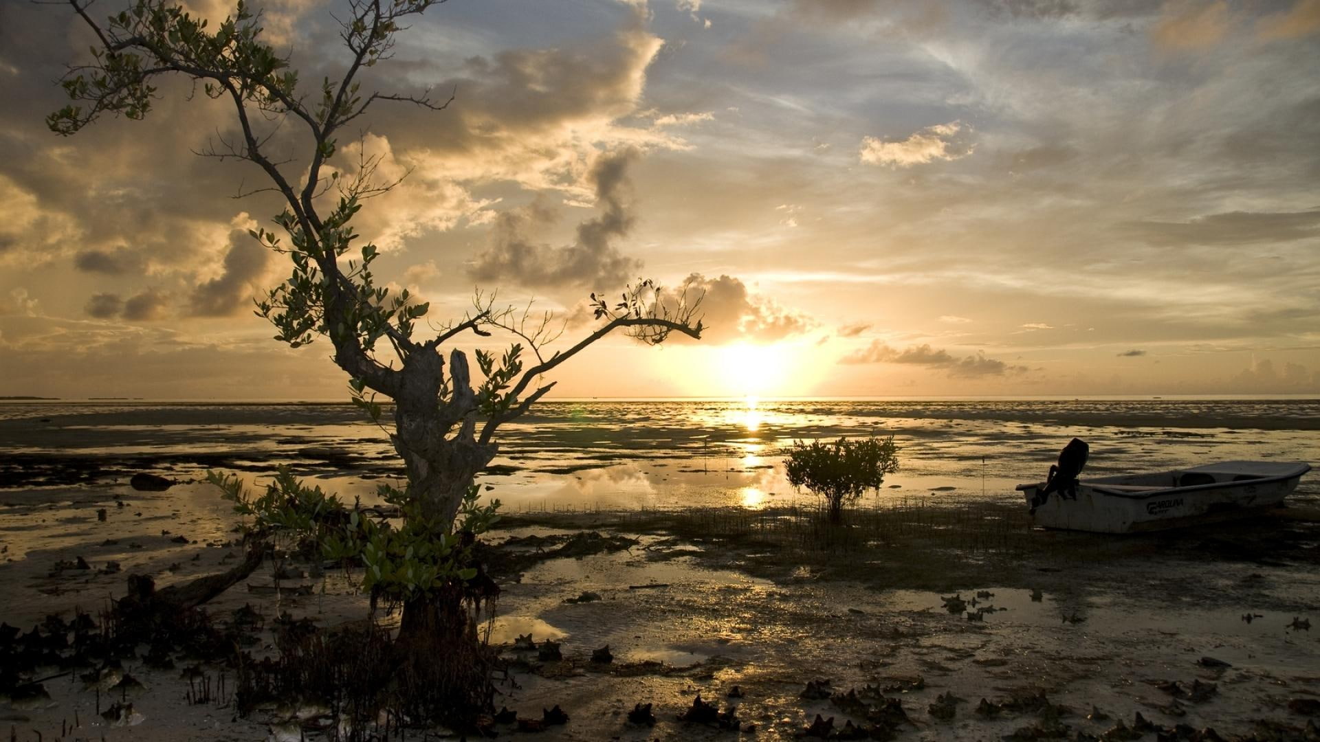boat, sunrise, 1080P, glorious, nature and landscapes, tree, beach, budding, HD Wallpaper