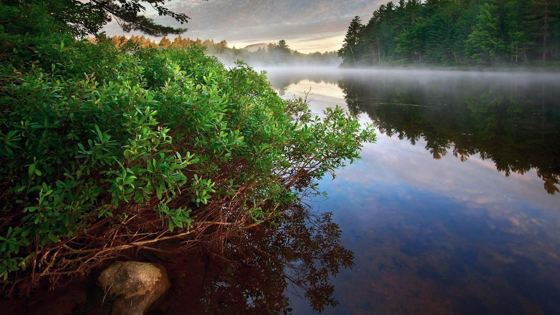 forest, river, bushes, morning, nature and landscapes, clouds, 1080P, natural, glorious, mist, riverscape, HD Wallpaper