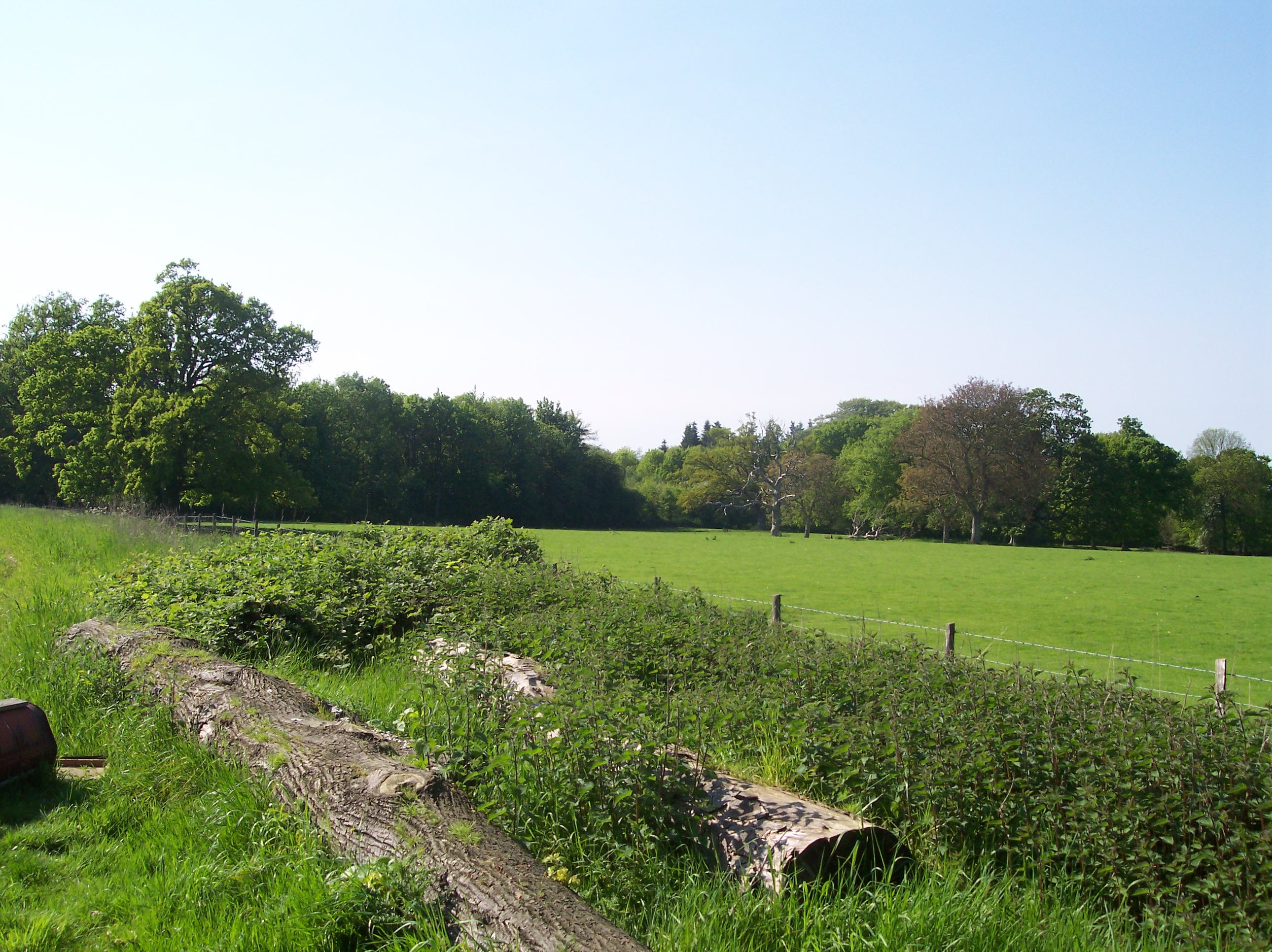 grass, view, hills, tranquil scene, scenics - nature, agriculture, rural, sky, wood, kent, woodland, day, tree, north downs, clear sky, farm, park, spring, HD Wallpaper