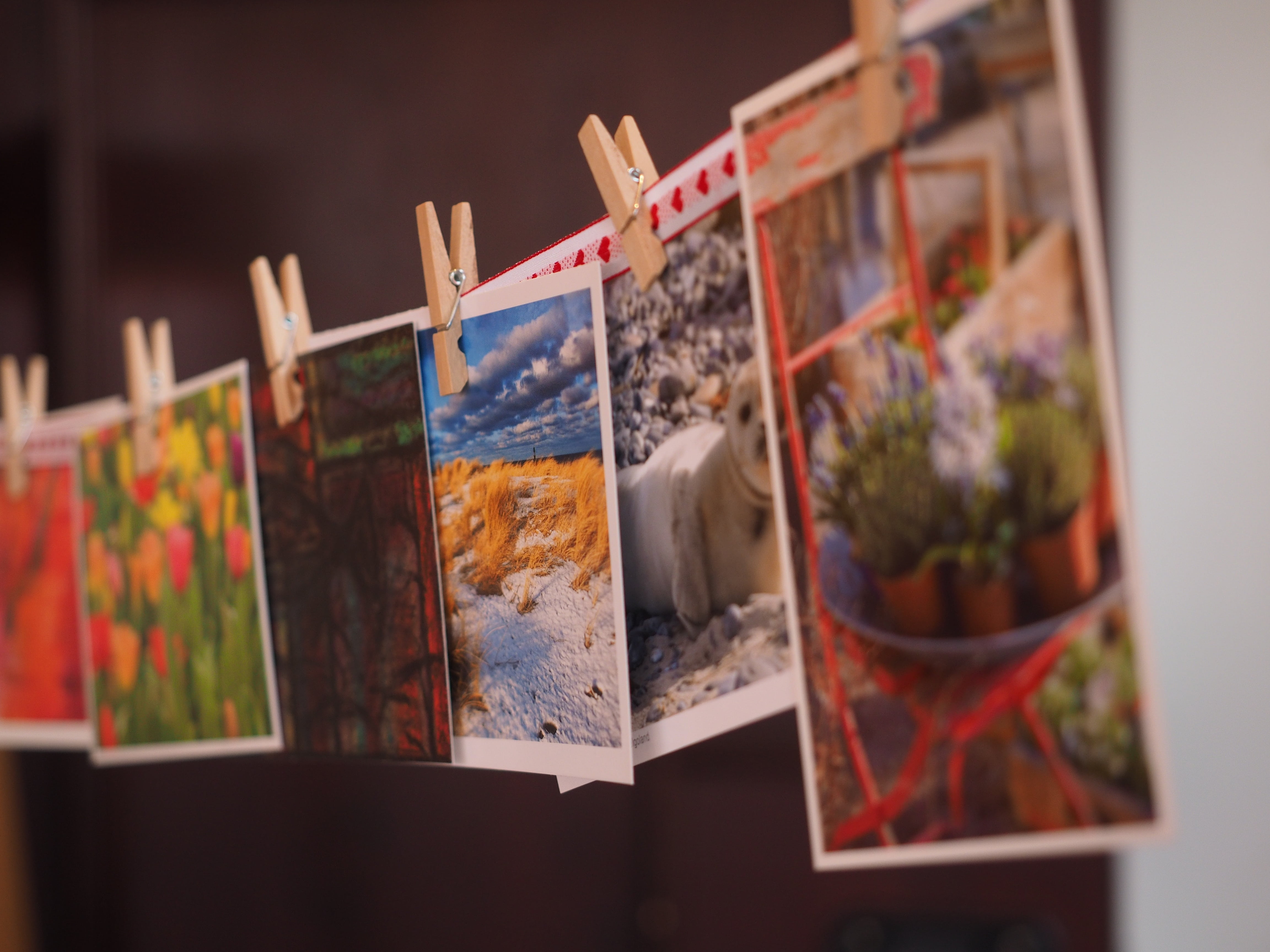 hanging, picture frame, selective focus, greeting cards, 4K, cards, nature, photo, wedding idea, celebration, wedding, wishes, choice, postcards, in a row, HD Wallpaper