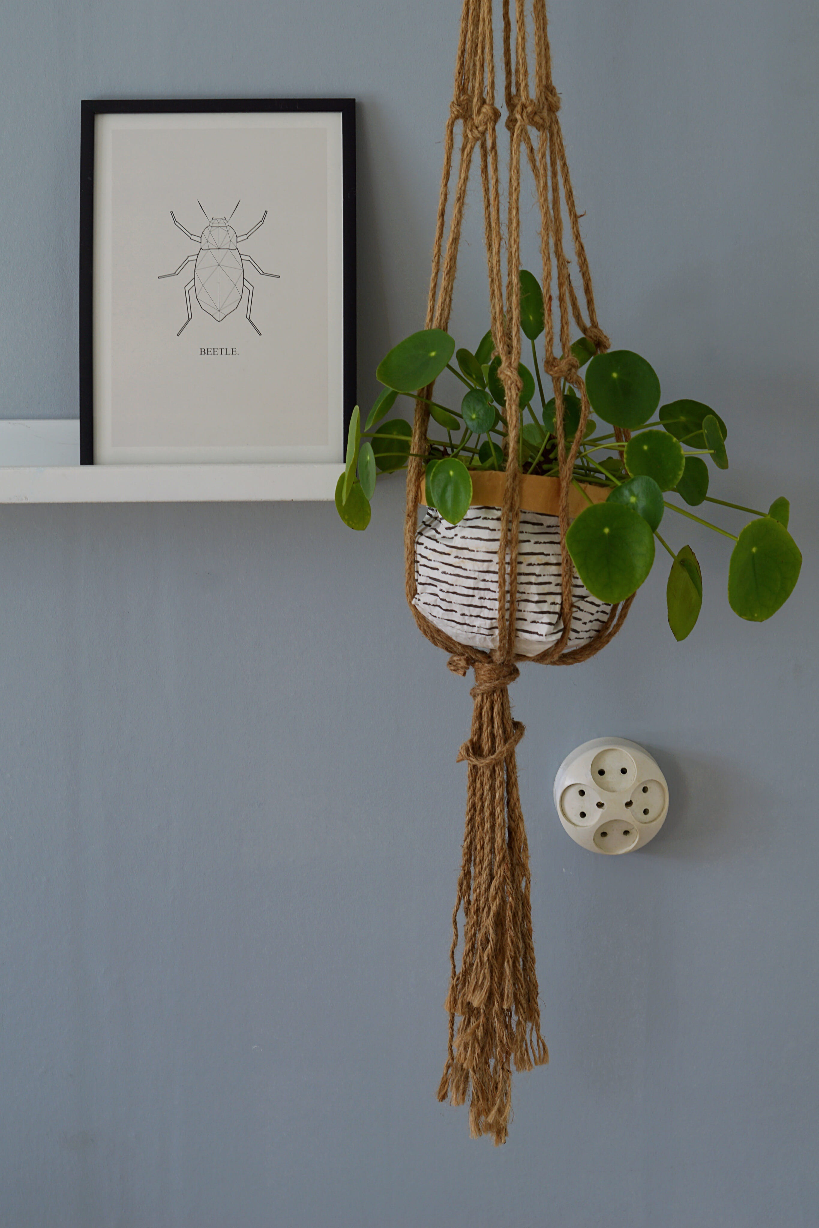 indoors, decoration, hanging, wall - building feature, craft, still life, art and craft, leaf, representation, home interior, green, gray, 4K, wall, ivy, Phone HD Wallpaper