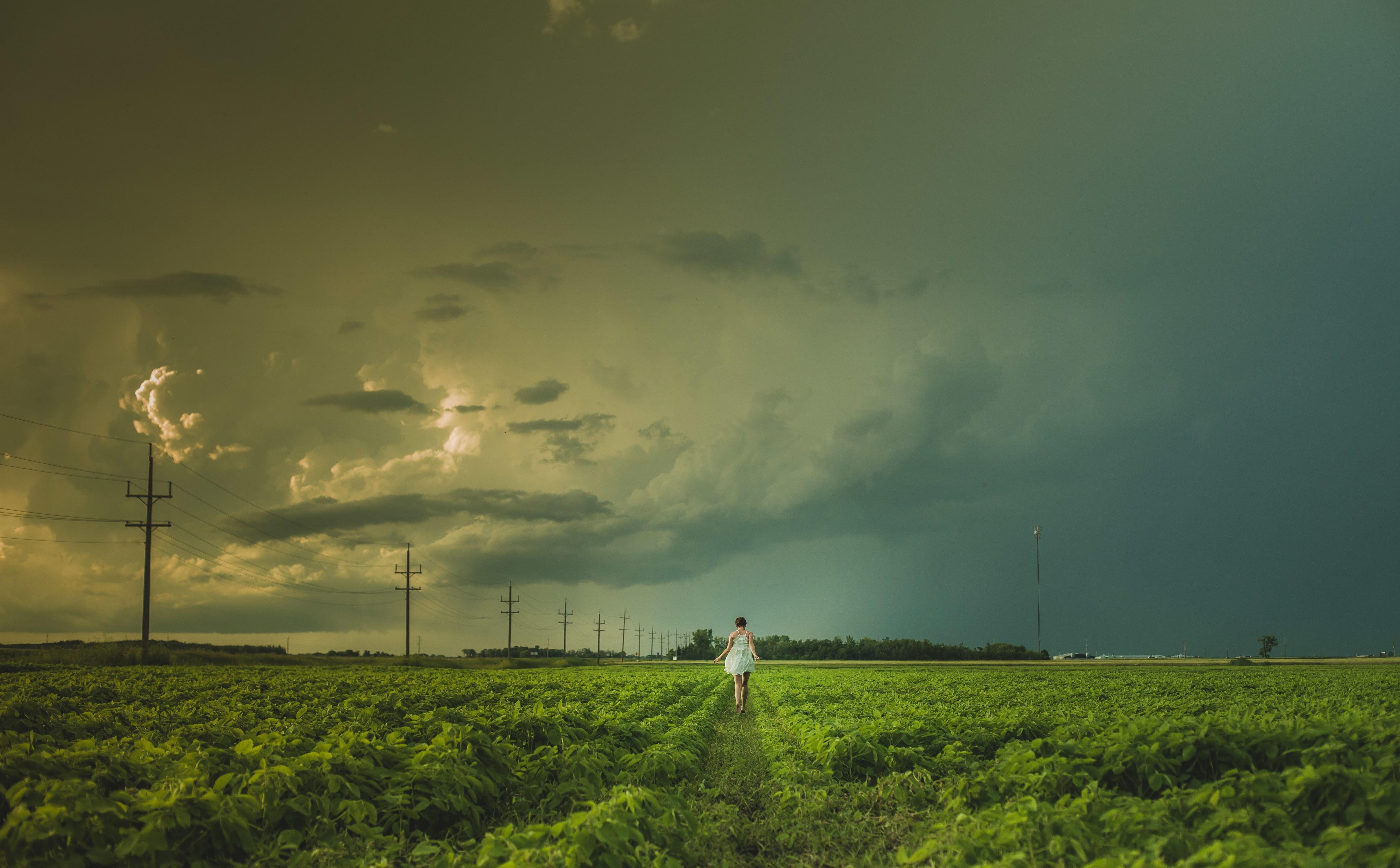 environment, sky, standing, cloud - sky, People, Creative, Scenery, plant, real people, Prairie, Girl, tranquility, fuel and power generation, green color, HD Wallpaper