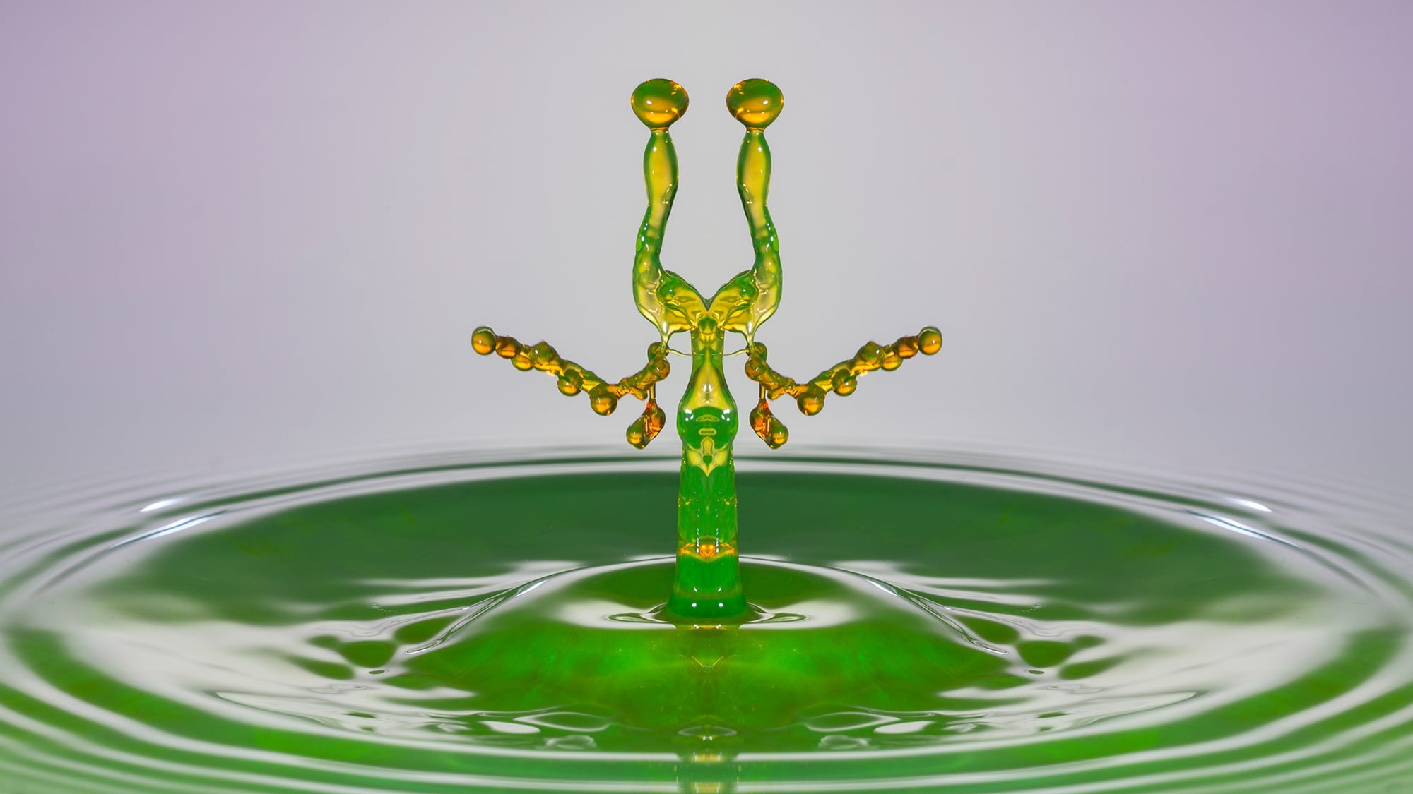 spray, solenoid valve, studio shot, green color, mirroring, reflection, splashing, 1080P, close, splashing droplet, motion, rippled, drop-on-drop, green, HD Wallpaper