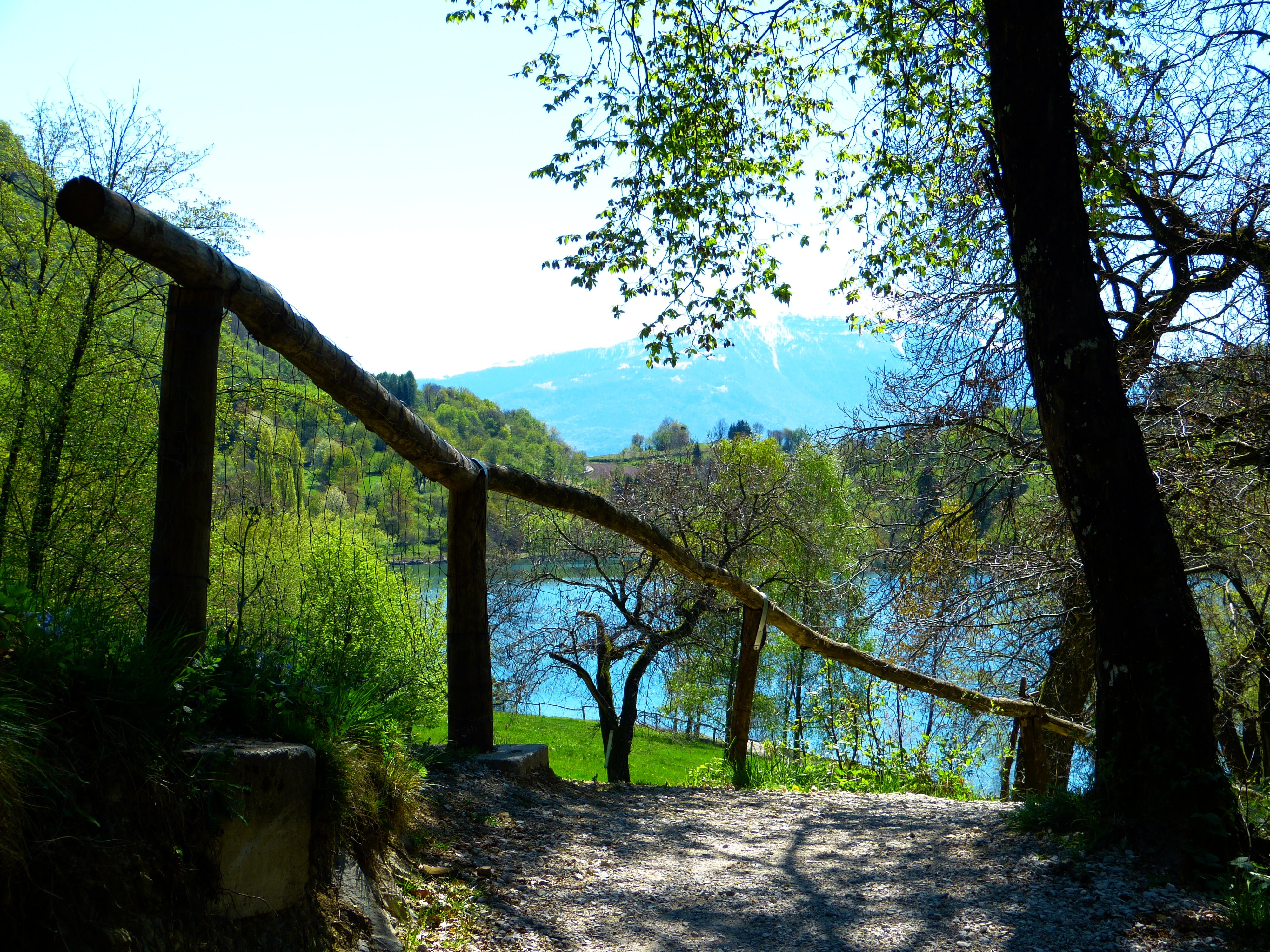 handrail, non-urban scene, trees, landscape, tranquil scene, day, tree, tenno lake, plant, near, growth, the way forward, tree trunk, footpath, scenics - nature, HD Wallpaper