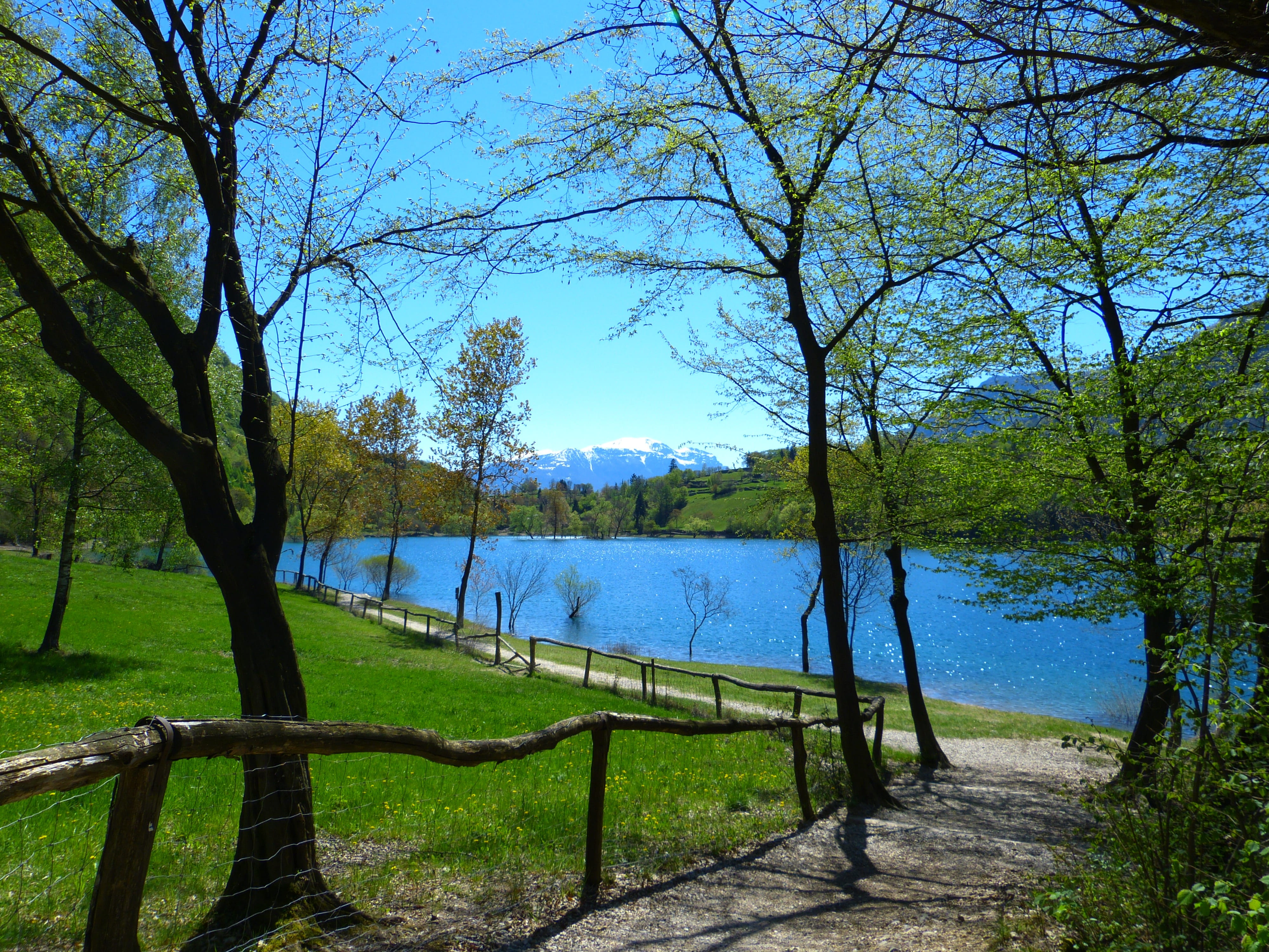 landscape, lake, tree trunk, italy, scenics - nature, trail, trunk, idyllic, tranquility, sky, tree, beauty in nature, growth, lago di tenno, day, leisure, HD Wallpaper