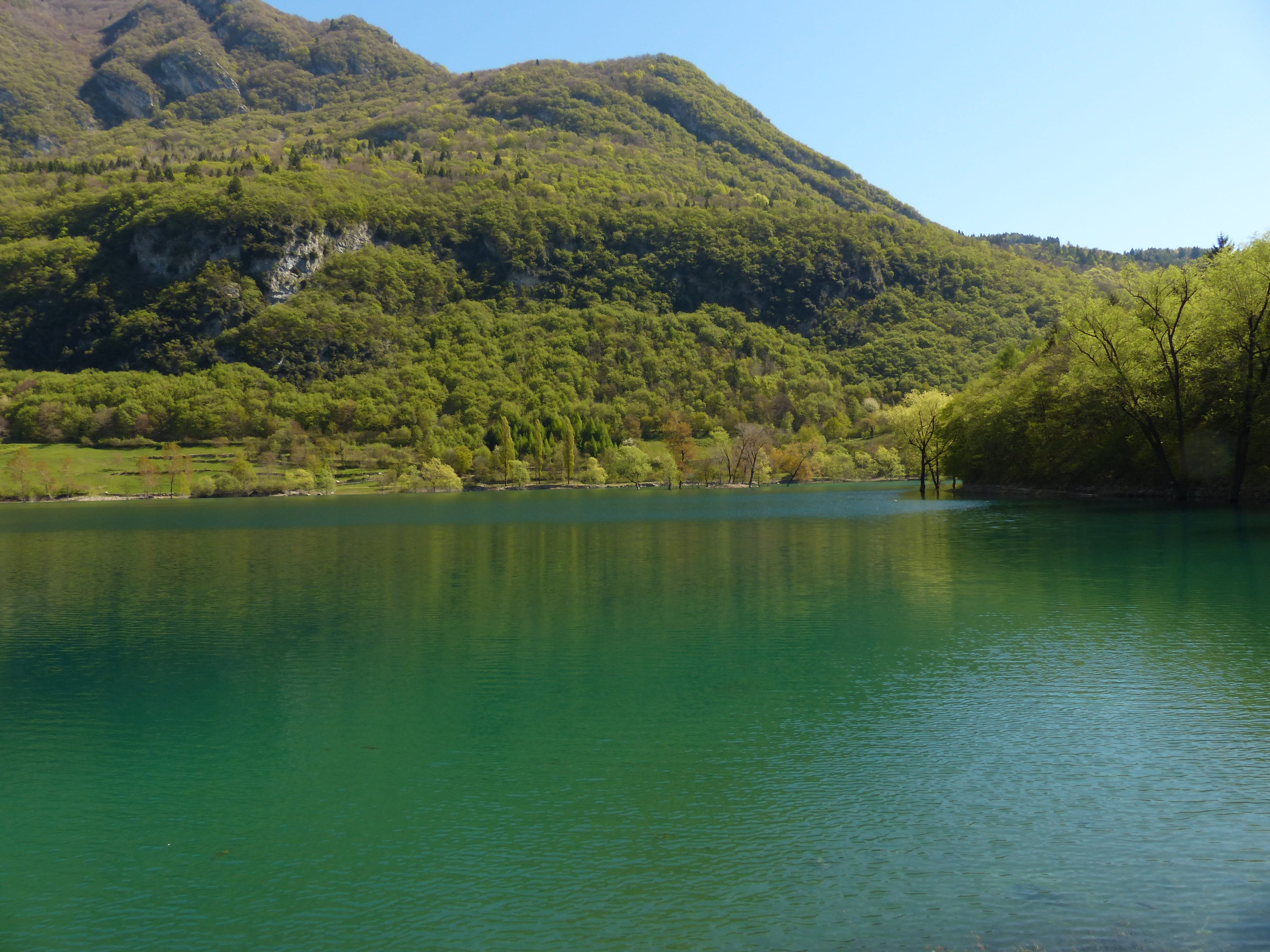 waterfront, reflection, waters, tranquility, outdoors, mountain, beauty in nature, idyllic, tenno lake, nature, tree, non-urban scene, green color, water, HD Wallpaper