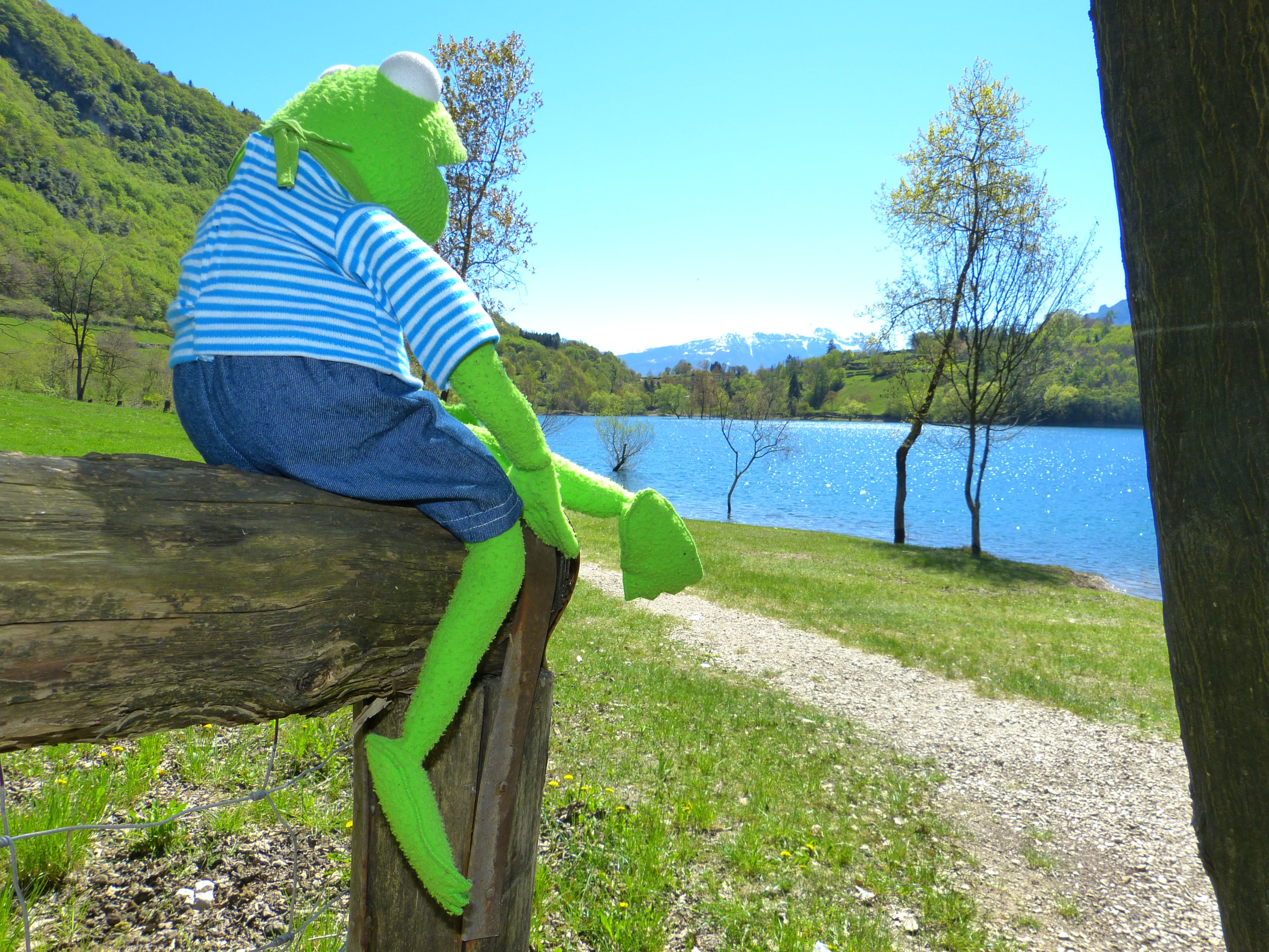 day, landscape, tranquil scene, green color, promenade, sunny, trail, tenno lake, water, trees, one person, frog, full length, tree, real people, lago di tenno, HD Wallpaper