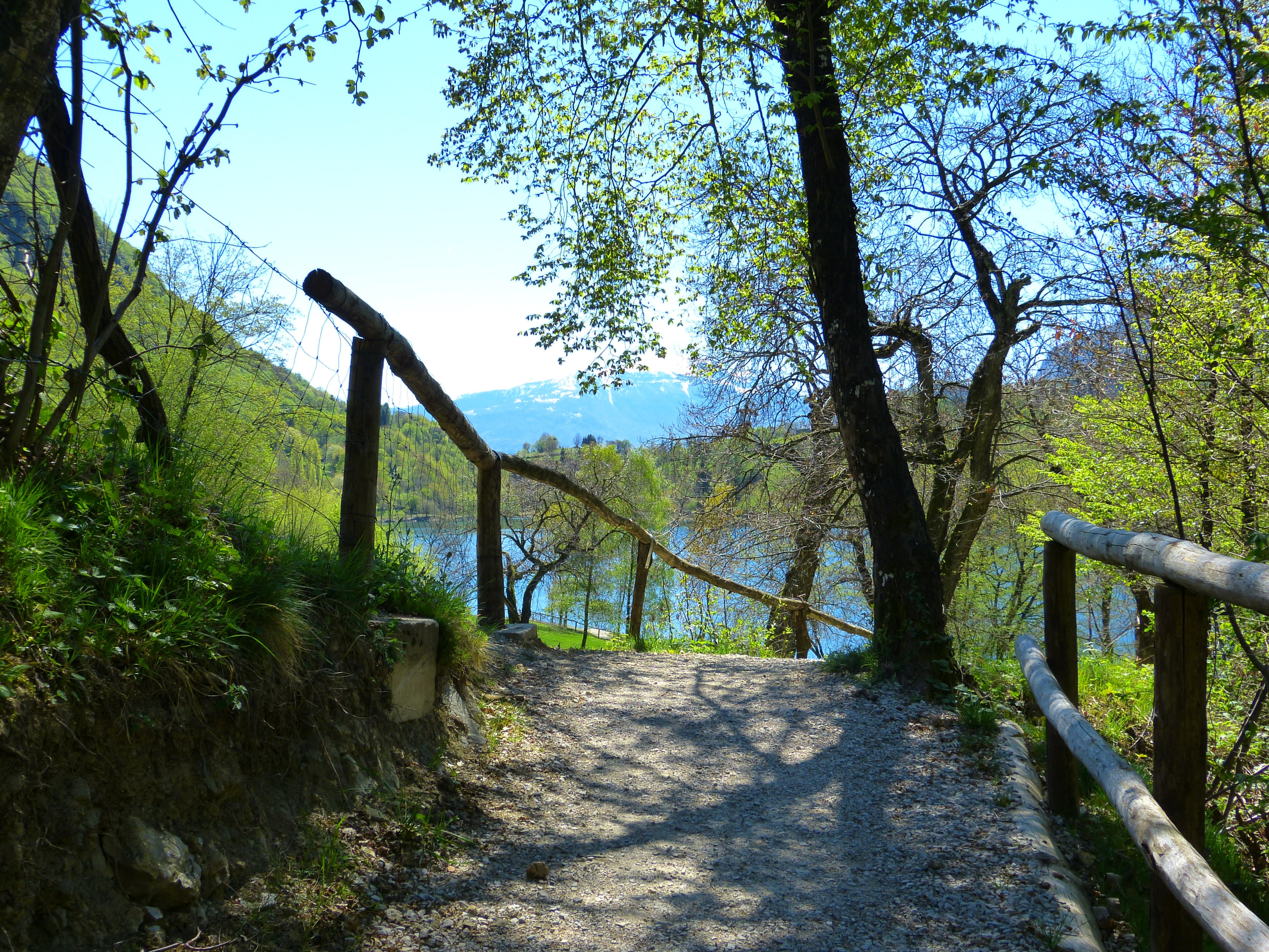 away, trees, nature, outdoors, tranquil scene, tenno lake, diminishing perspective, scenics, tranquility, footpath, footbridge, mountains, trail, sunny, HD Wallpaper