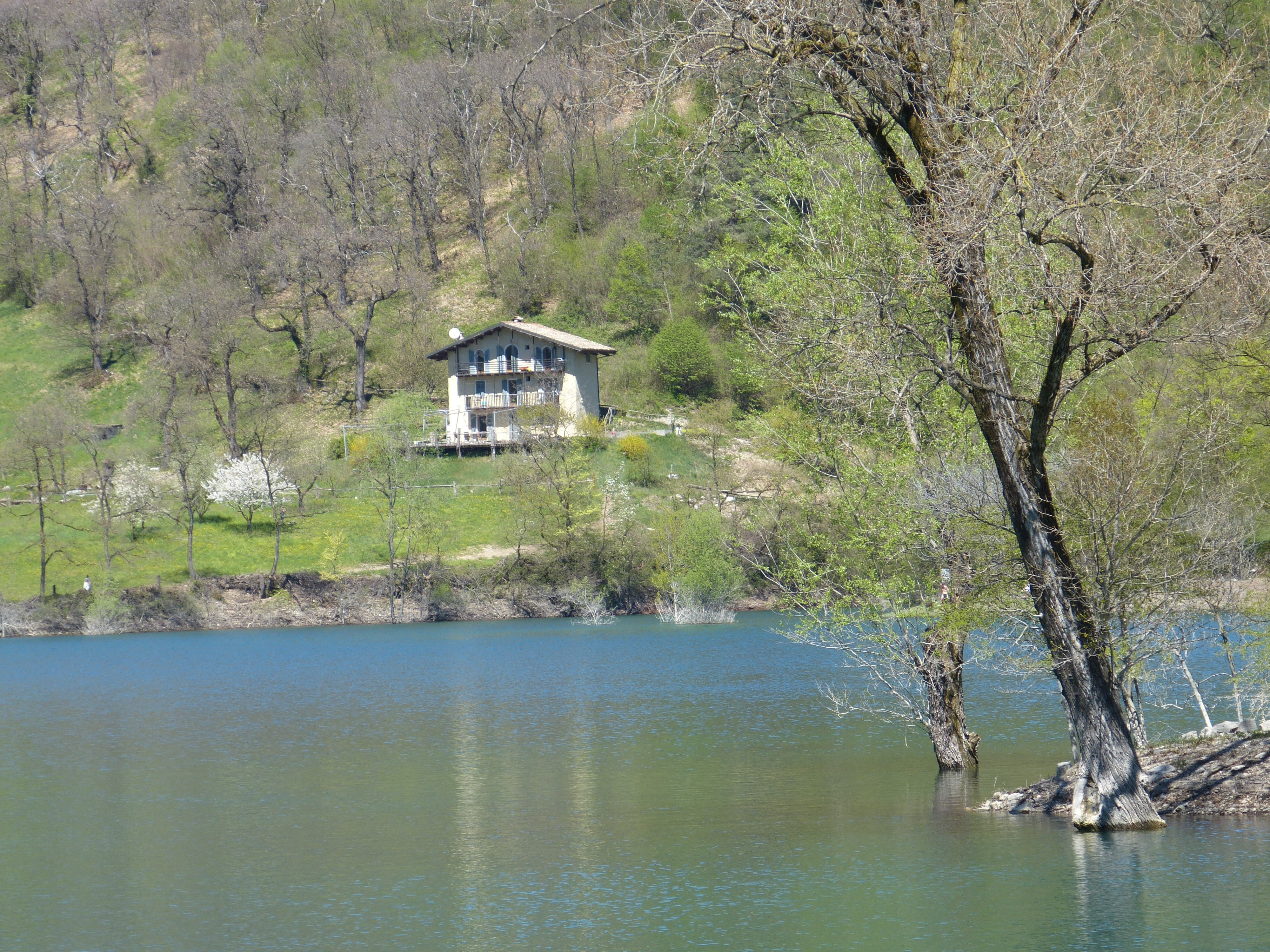 lonely, scenics - nature, tree, tenno lake, non-urban scene, waterfront, 4K, building exterior, building, hut, nature, water, beauty in nature, plant, HD Wallpaper