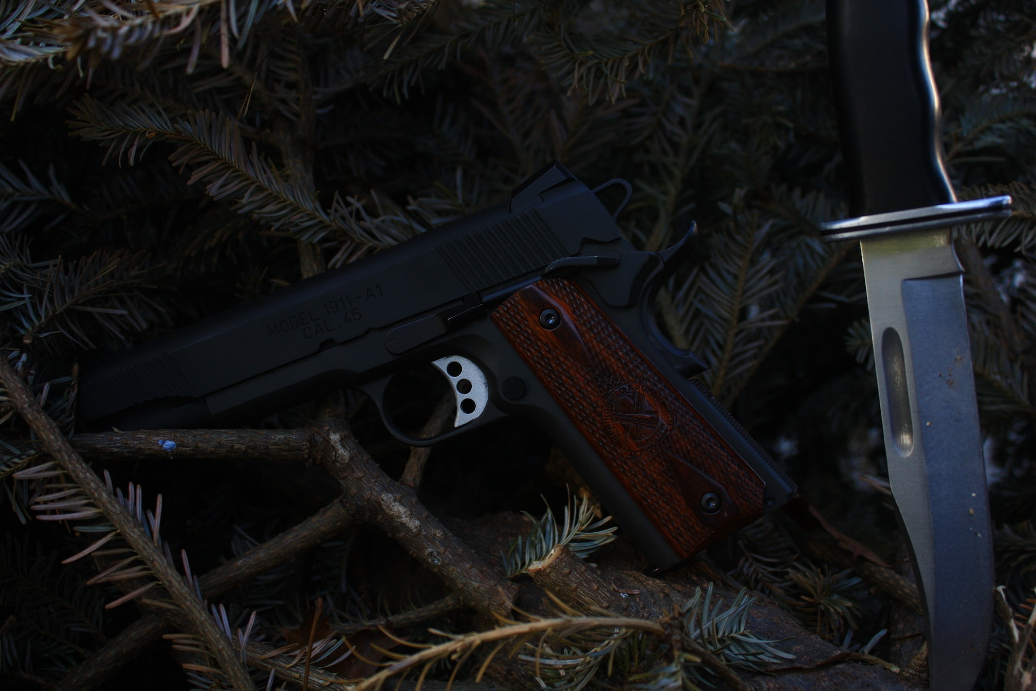 Weapons, 1080P, Springfield Armory 1911 Pistol, Pistol, Handgun, HD Wallpaper
