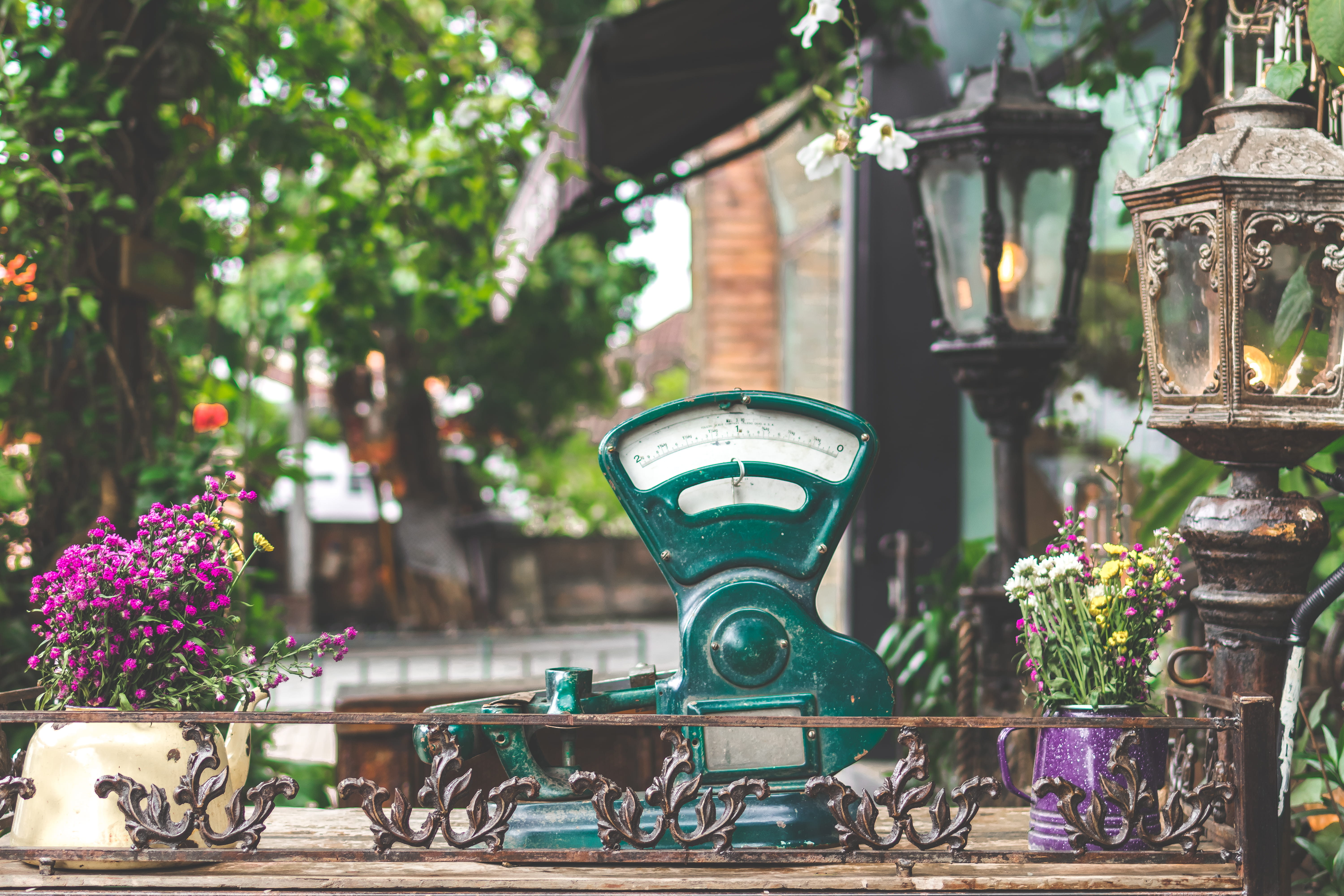 weighing scale, flowers, plants, object, instrument, focus on foreground, outdoors, formal garden, green, metallic, potted plant, flower, urban, 5K, brass, HD Wallpaper