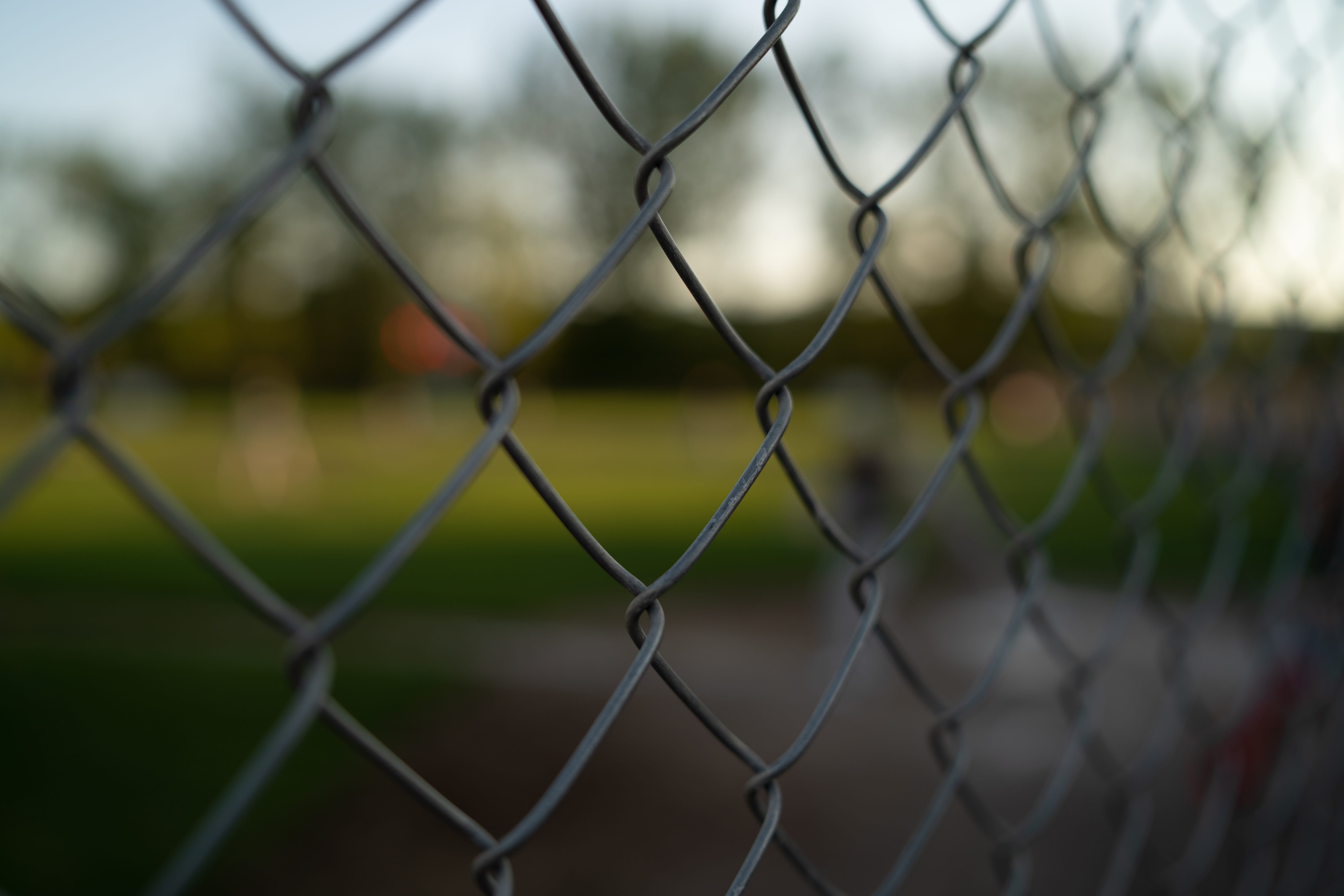 barrier, day, slope, lock, black, vine, outdoors, jury, focus on foreground, animal, sphere, fence, backgrounds, boundary, safety, spider, selective focus, HD Wallpaper