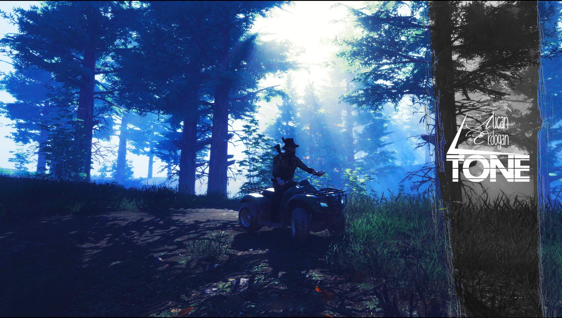 architecture, human representation, lifestyles, nature, 1080P, H1Z1 King Of The Kill, day, forest, H1Z1 Just Survive, growth, plant, tree, sunlight, trunk, HD Wallpaper