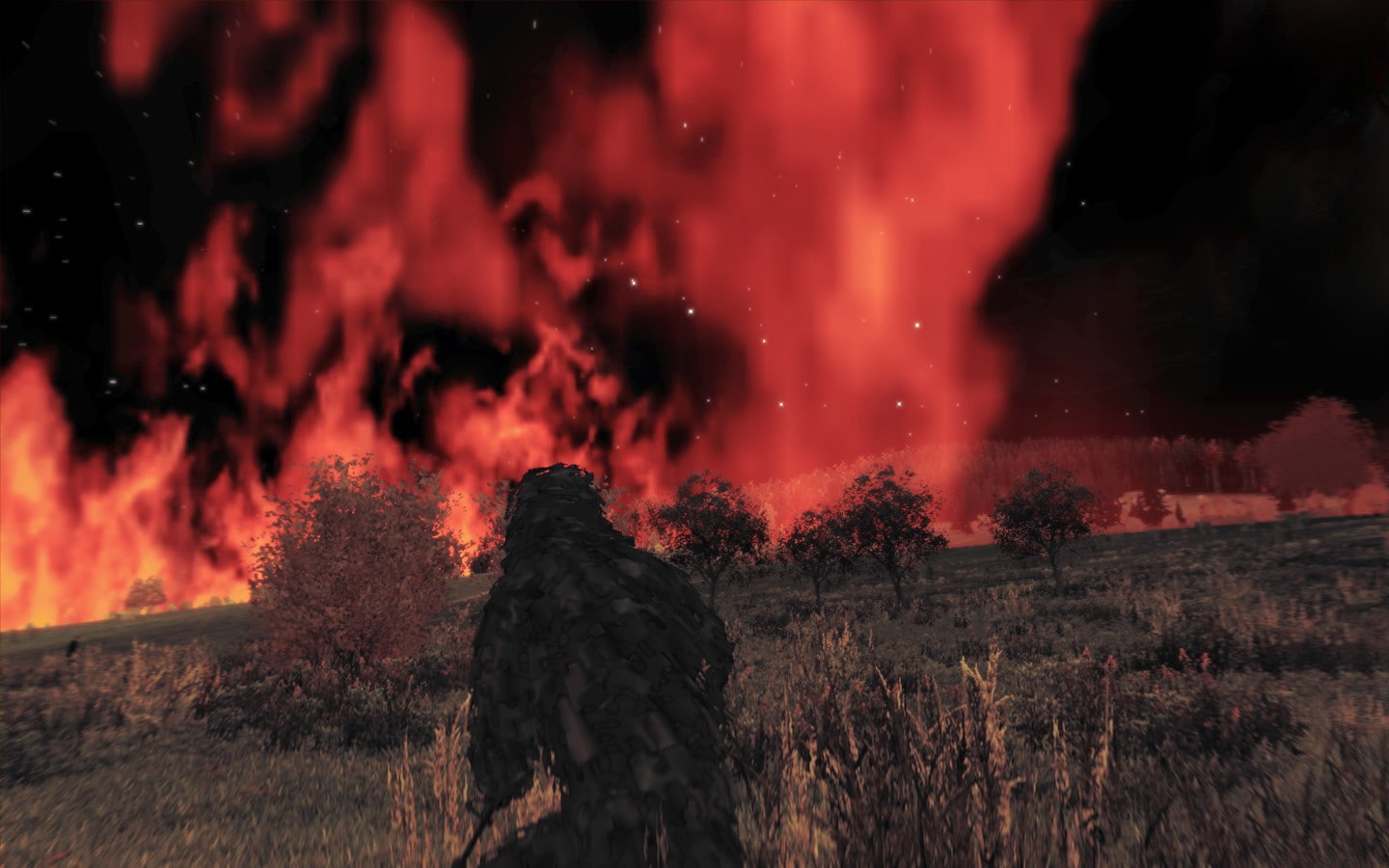 fire, forest, environment, field, Steam (software), night, Arma II, nature, rear view, sky, screen shot, star - space, outdoors, scenics - nature, no people, HD Wallpaper