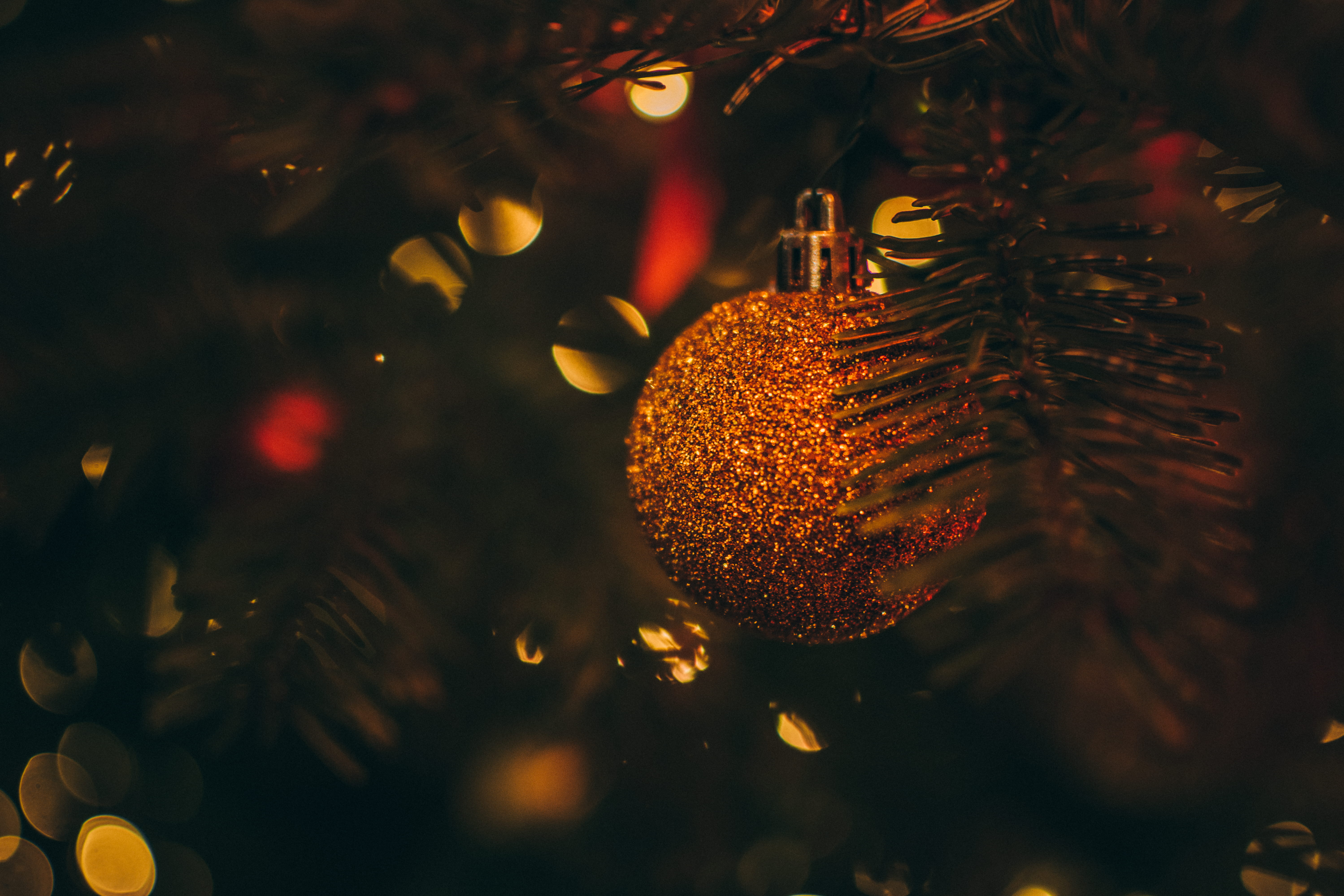 no people, christmas tree, event, close, holiday, january, beautiful, tree, christmas, chritmas light, christmas decor, celebration event, illuminated, HD Wallpaper