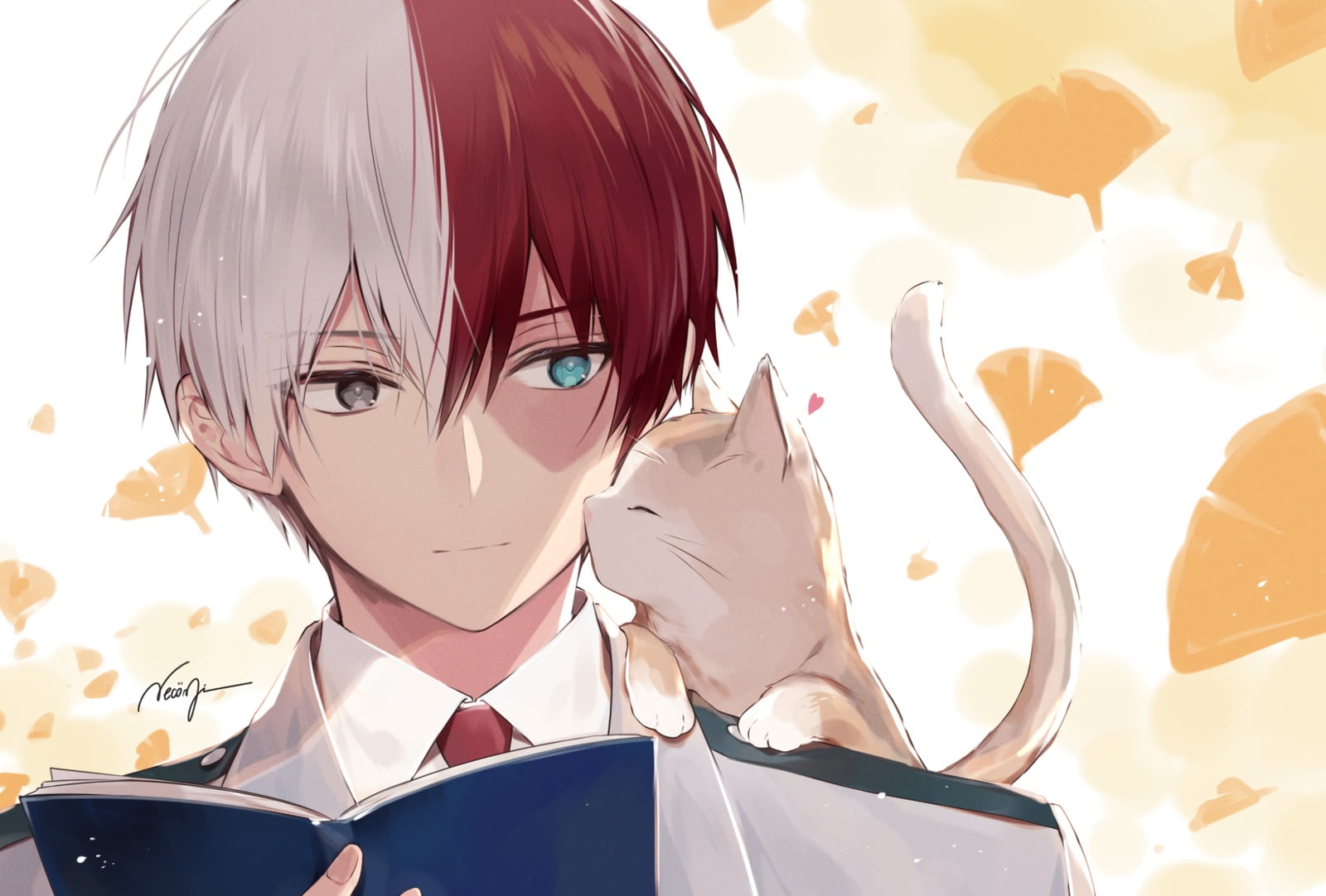 Boku no Hero Academia, two eye colors, heterochromia, anime boys, anime, Shoto Todoroki, 720P, Shouto Todoroki, multi-colored hair, cats, Necomi, HD Wallpaper