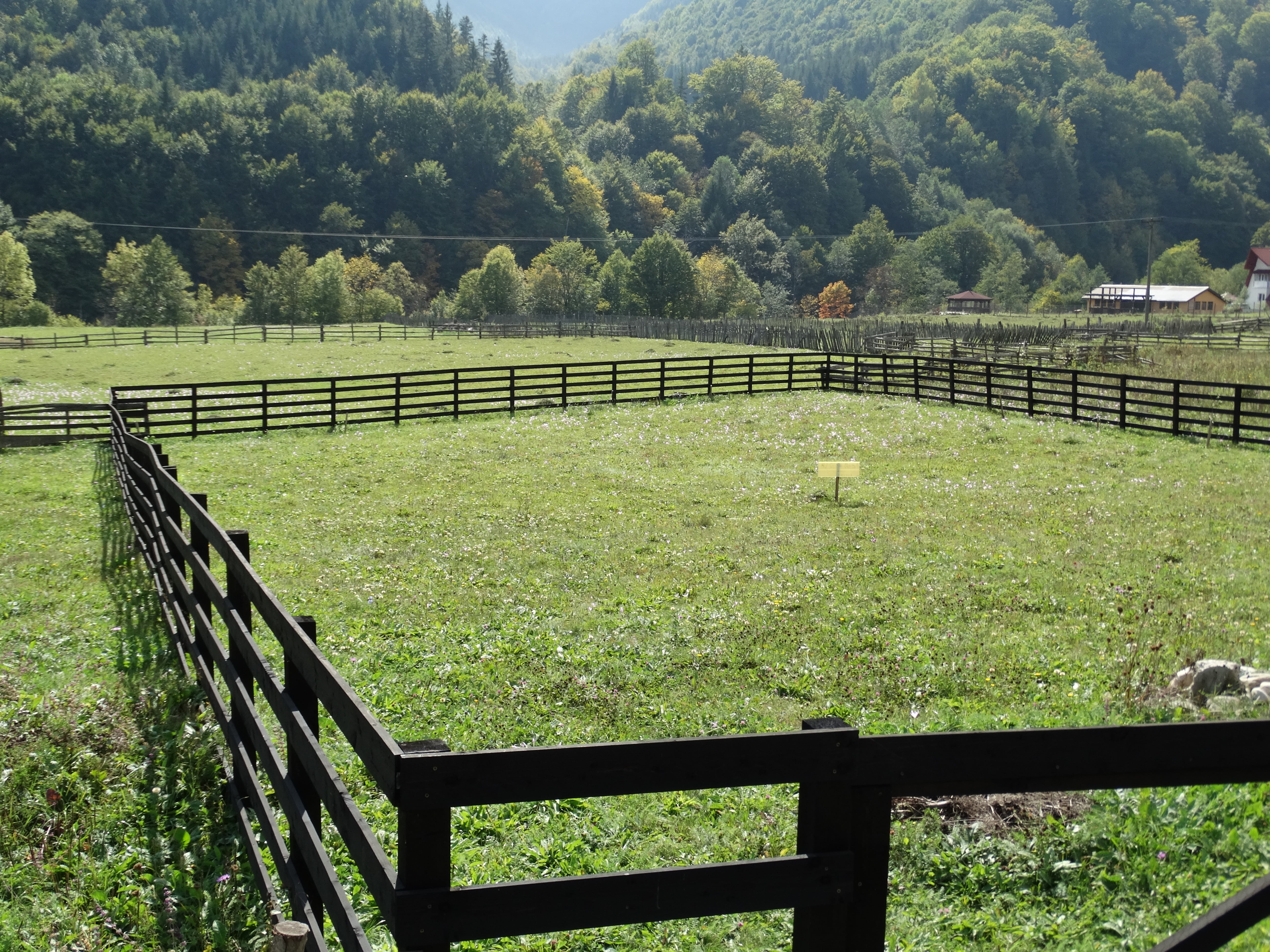 field, tranquil scene, nature, tranquility, green color, grass, outdoors, no people, tree, mountain, scenics - nature, land, fence, 5K, landscape, plant, HD Wallpaper