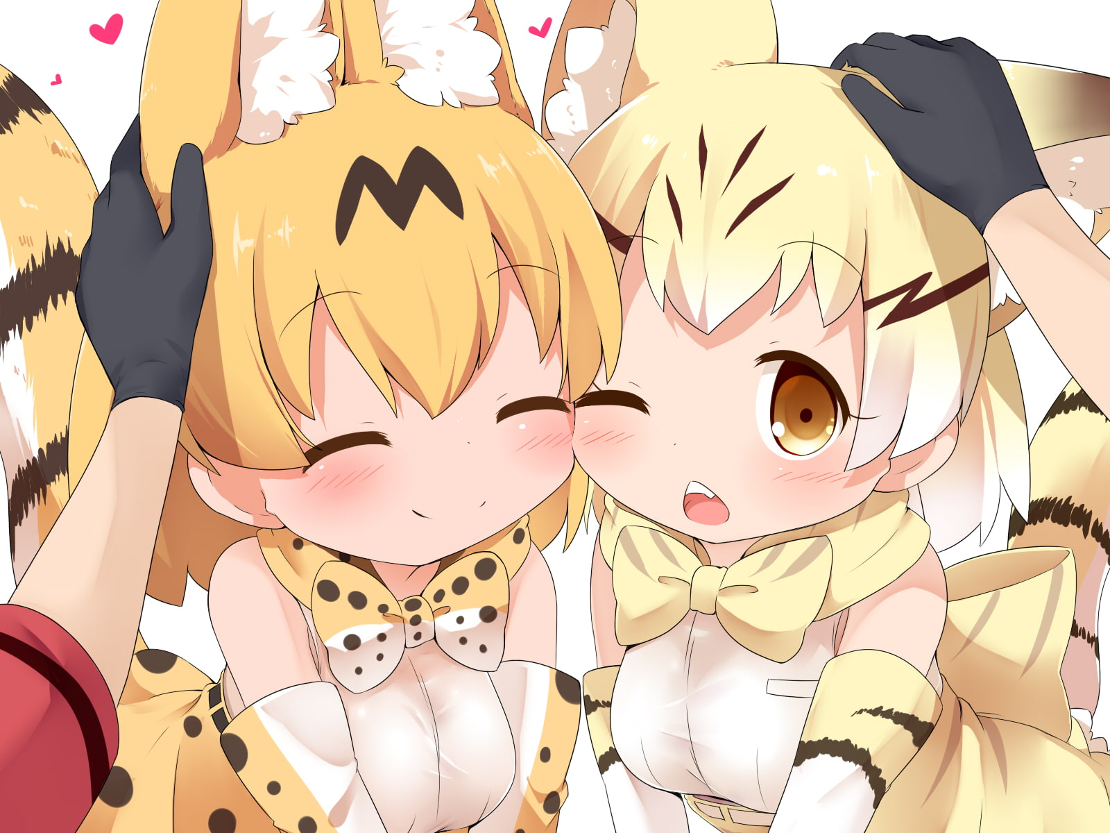 wink, (m-kun), ears, 720P, gloves, close, animal, serval, friends, catgirl, makuran, tail, short, brown, 261120, blonde, kaban, anthropomorphism, eyes, HD Wallpaper