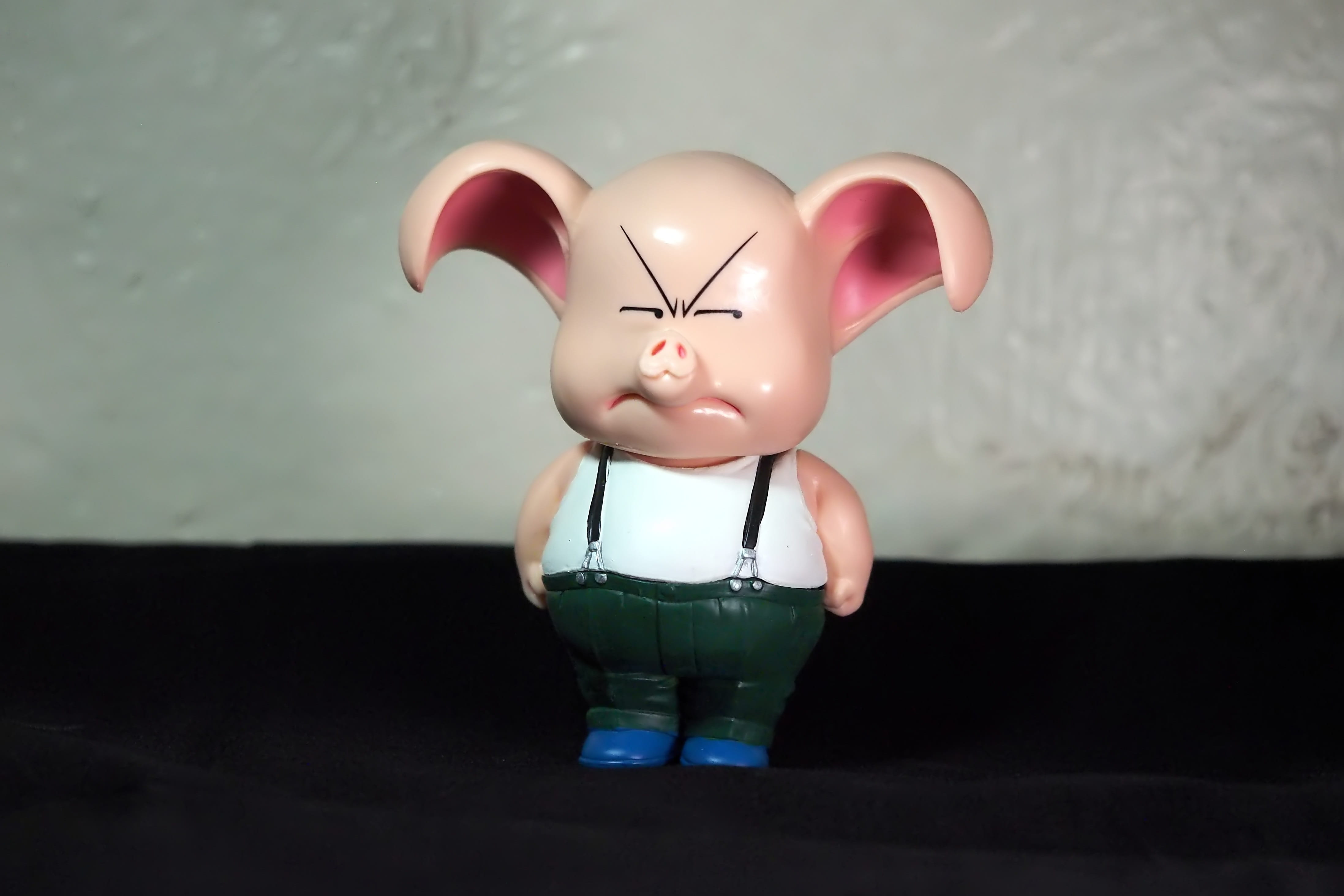 animal, communication, plastic, cartoon, z, representation, one person, art and craft, male, pig, wall - building feature, character, youtube, creativity, HD Wallpaper