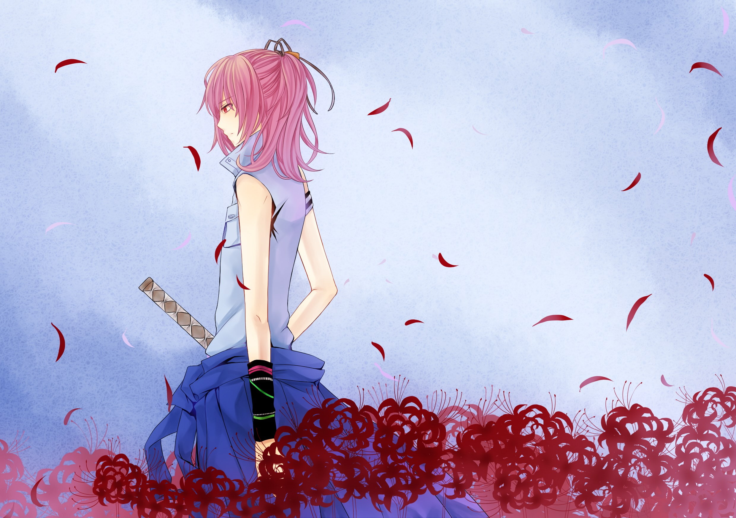 1080P, nabari no ou, HD Wallpaper