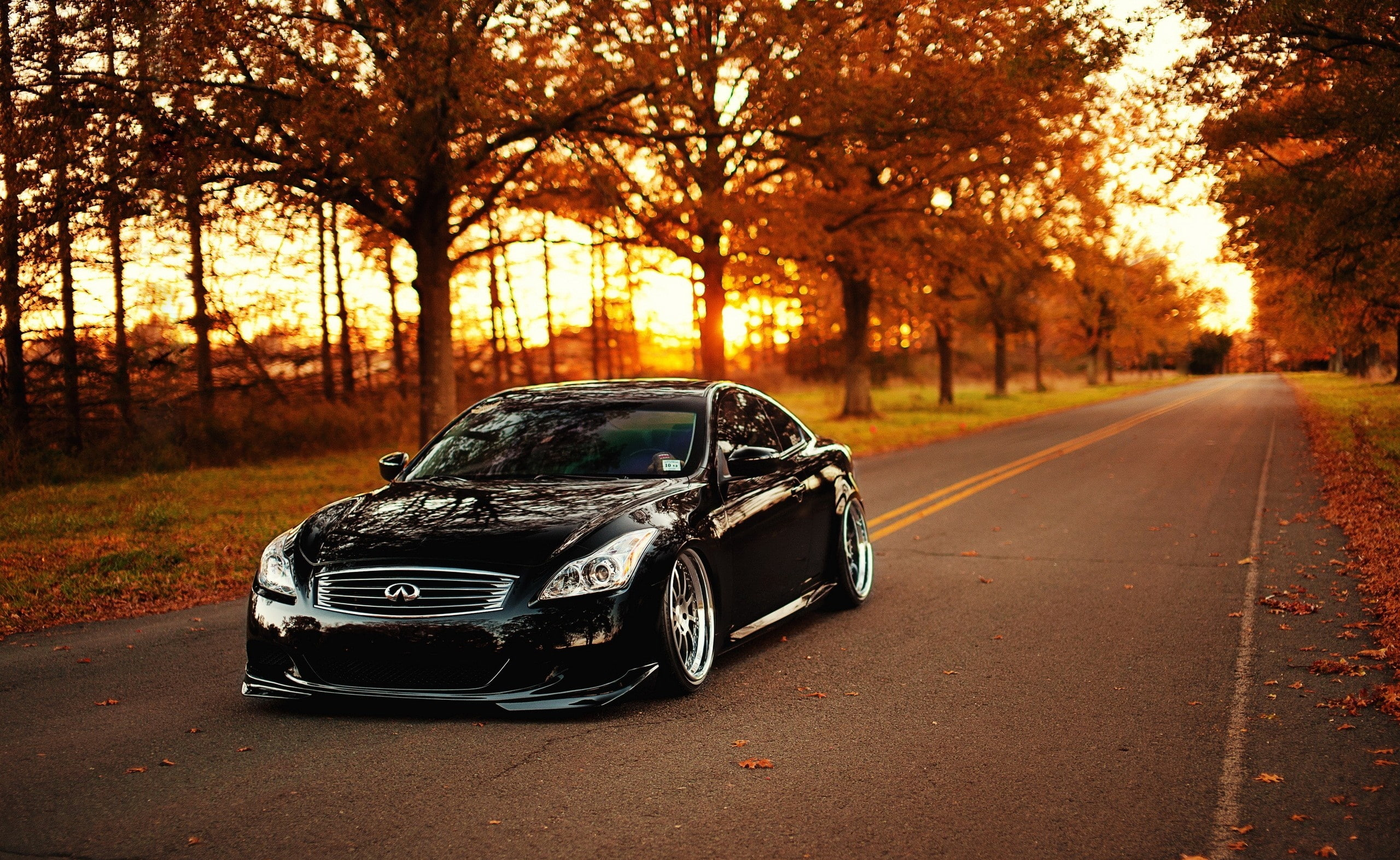 mode of transportation, g, plant, day, city, Infiniti, tree, road, Cars, direction, sunset, no people, sunlight, transportation, Trees, change, car, Nature, HD Wallpaper