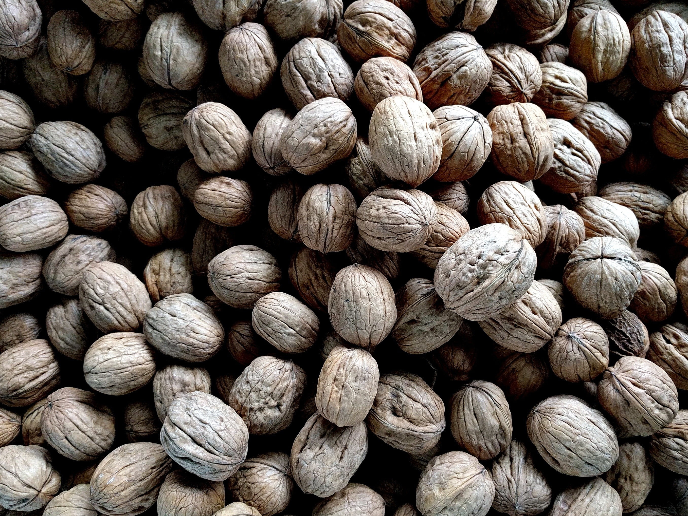food, healthy eating, indoors, textured, backgrounds, detail, still life, abundance, close-up, nut, nuts, brown, large group of objects, full frame, freshness, HD Wallpaper