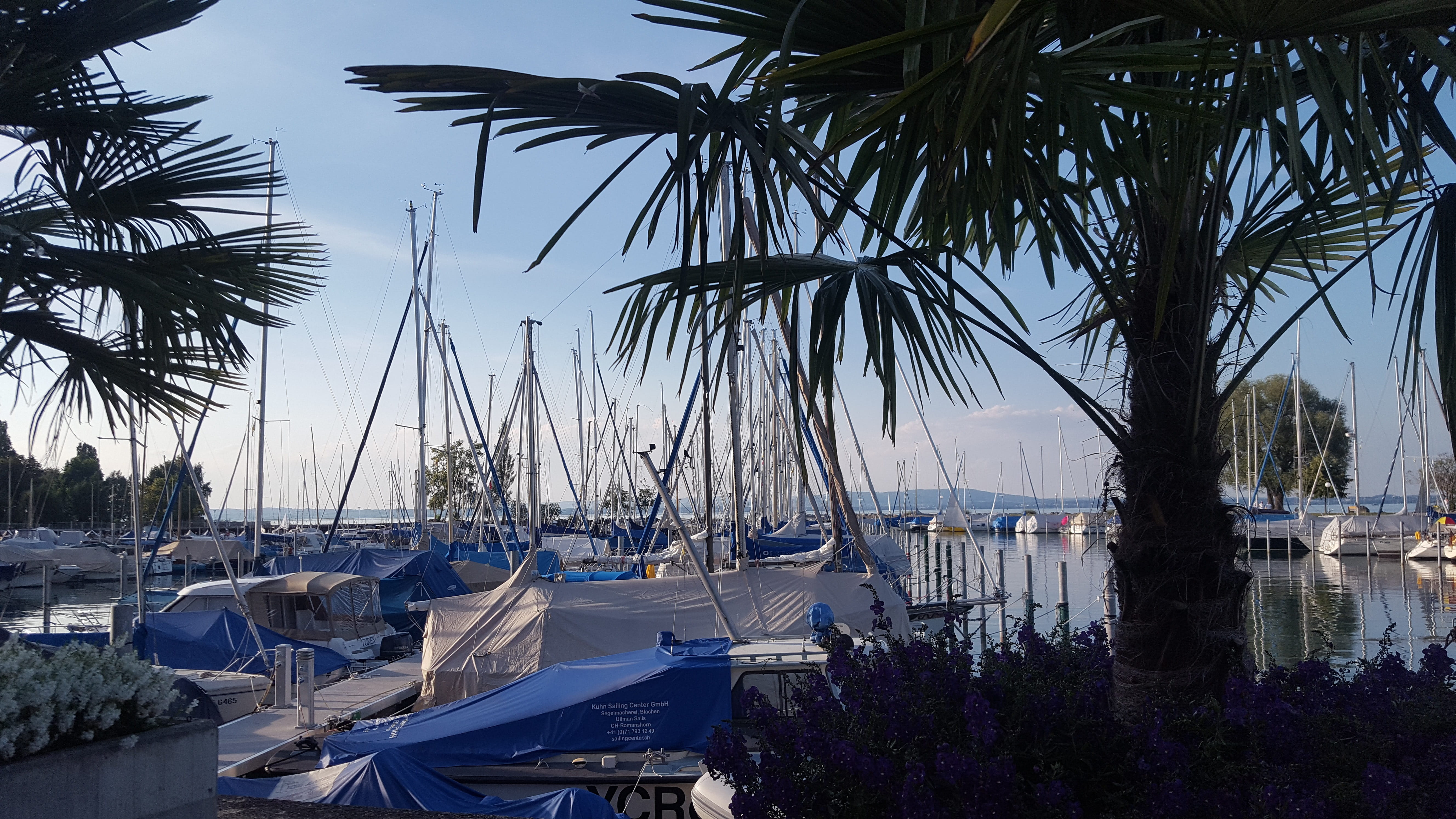 nautical vessel, sky, romanshorn, sailboat, boats, nature, mode of transportation, port, plant, lake constance, marina, architecture, tree, harbor, transportation, HD Wallpaper