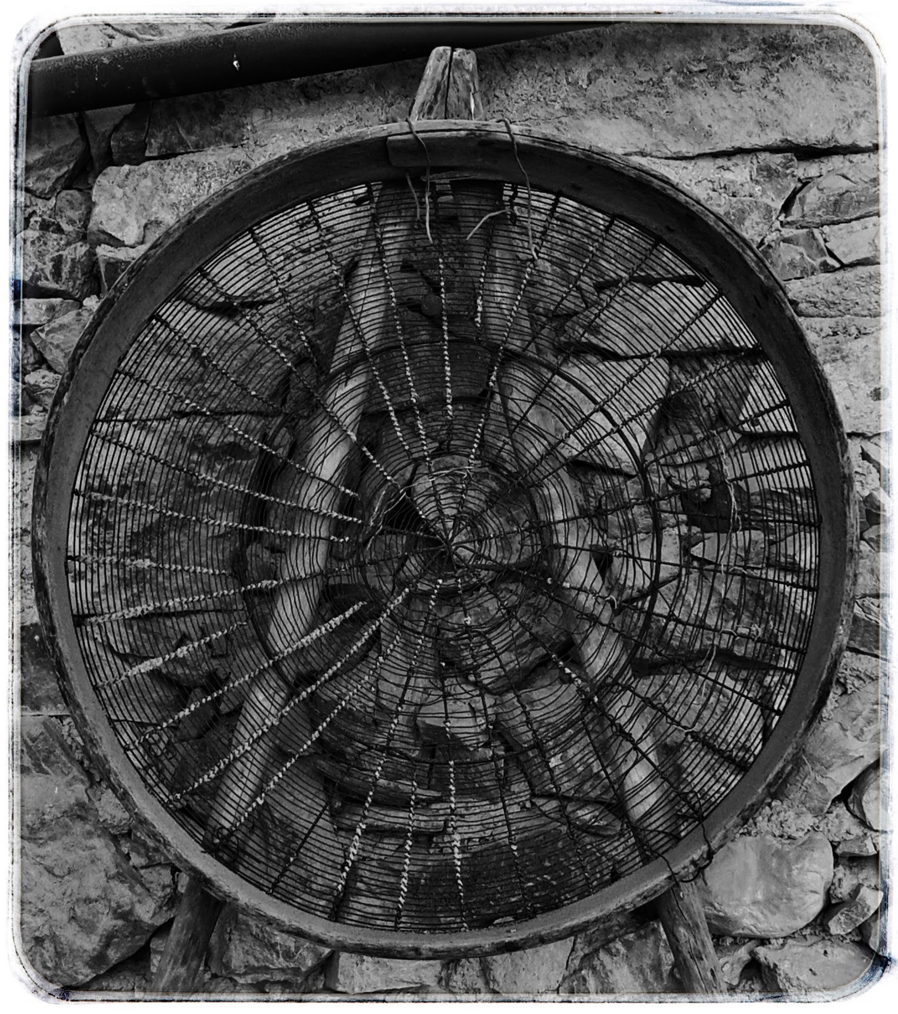 history, rural, sketch, black And White, victorian Style, antique, cultures, forest, science, metal, illustration, art, design, wood - material, transfer print, Phone HD Wallpaper