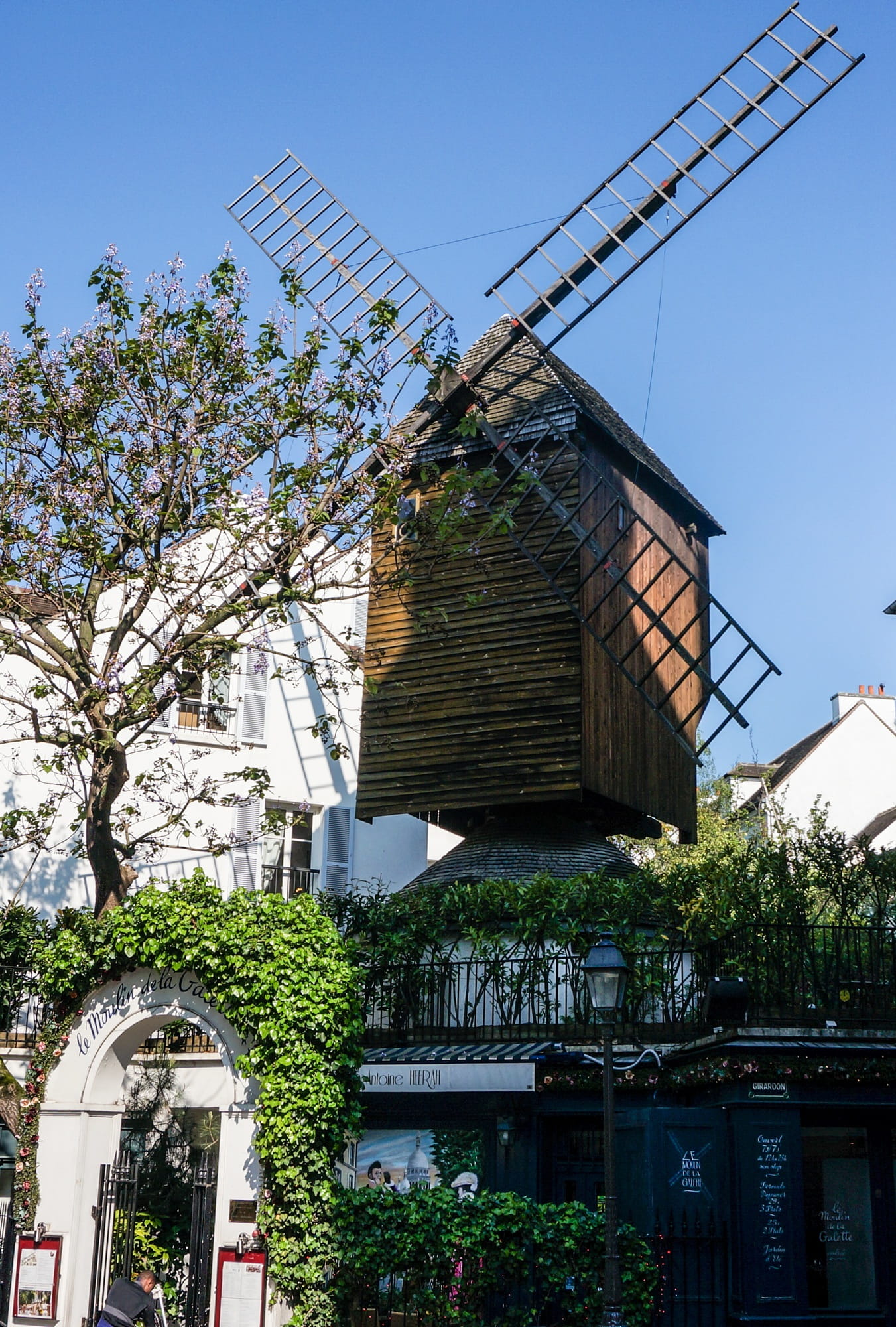 montmartre, growth, Paris, sky, Moulin Rouge, fuel and power generation, flower, Mill, flowering plant, plant, 1080P, building exterior, outdoors, low angle view, Phone HD Wallpaper