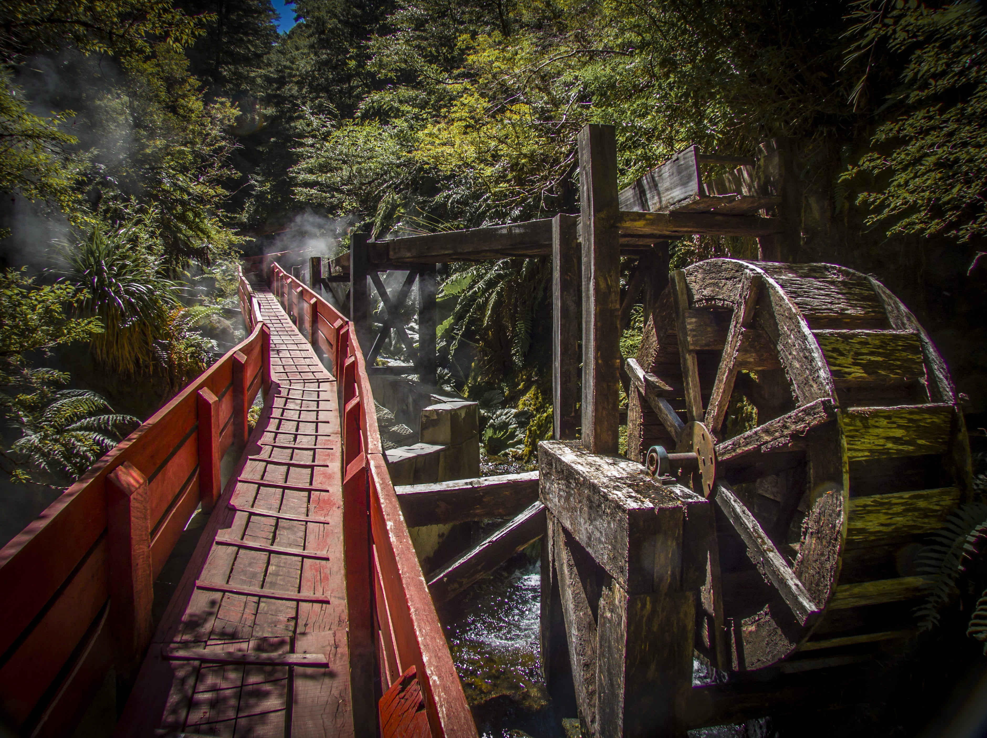 chile, suspension, connection, growth, outdoors, tree, bridge, footbridge, real people, water, railing, one person, hot springs, forest, wood - material, HD Wallpaper