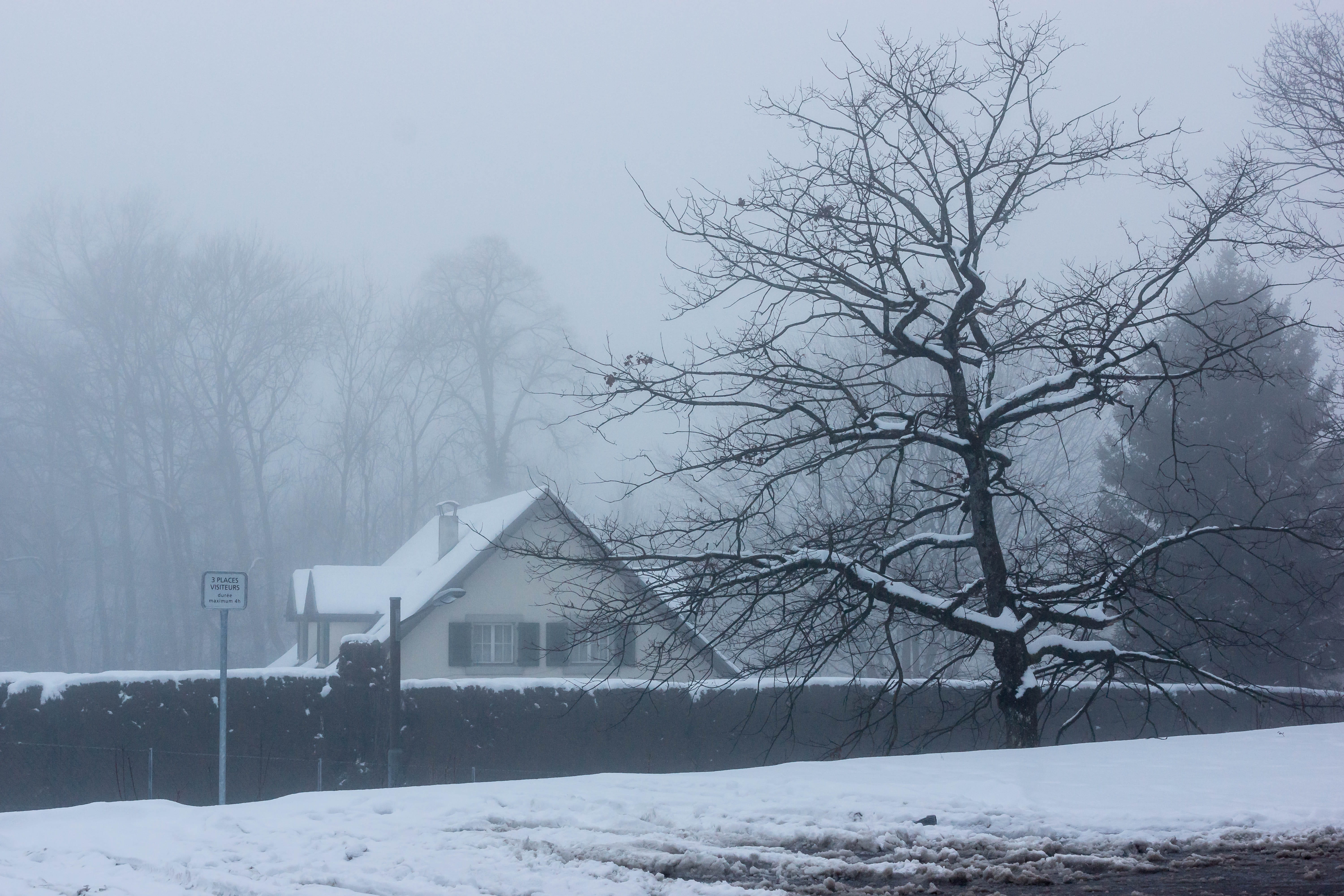 sky, weather, cold temperature, season, 5K, no people, snowy, nature, near, trees, snowing, land, woods, snow, ice, tranquil, building exterior, icy, blizzard, HD Wallpaper