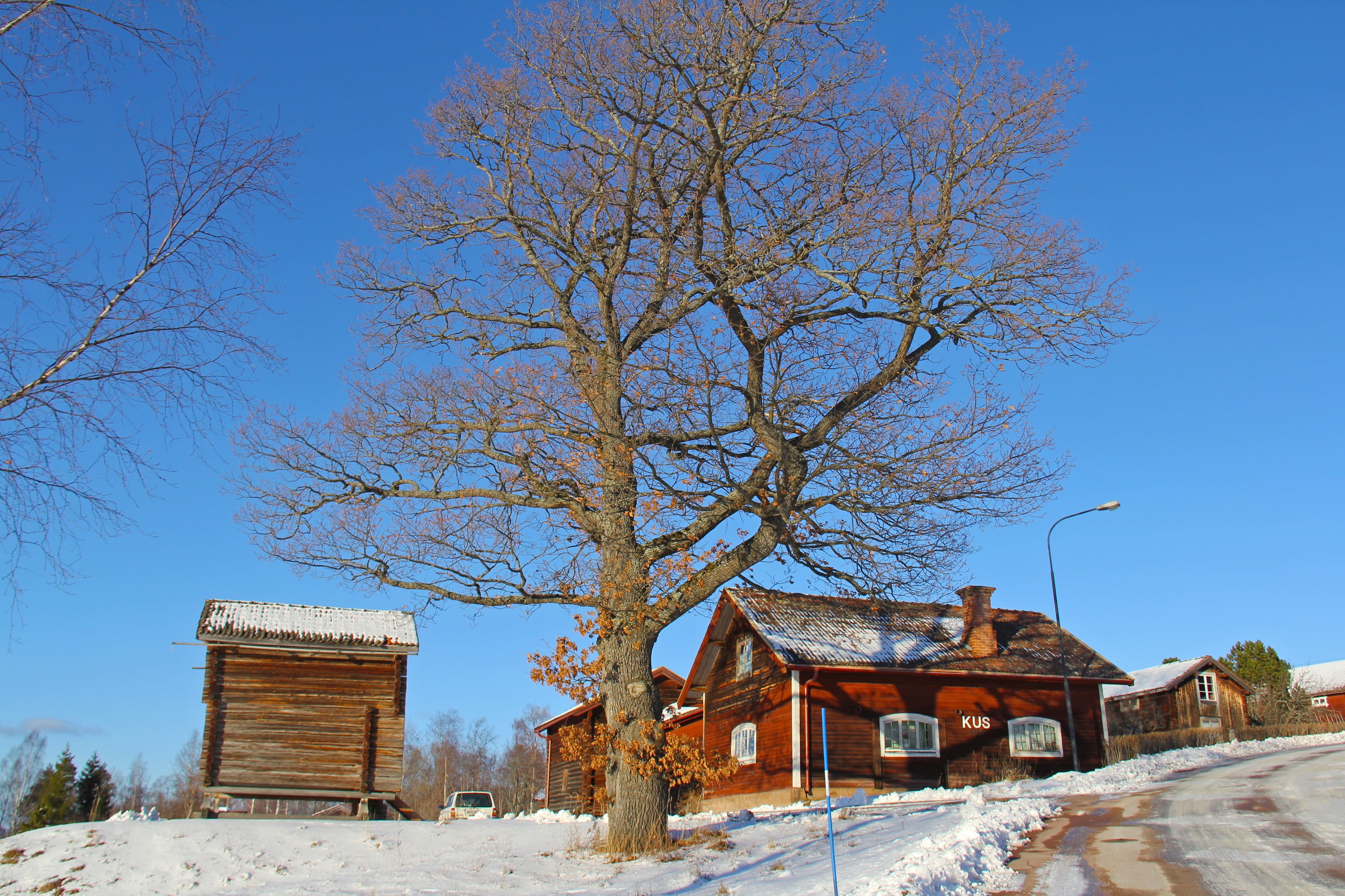 winter, bare tree, building exterior, cold temperature, non-urban scene, scenic, red, cottage, plant, outdoors, dalarna, wooden, sky, day, swedish, countryside, HD Wallpaper
