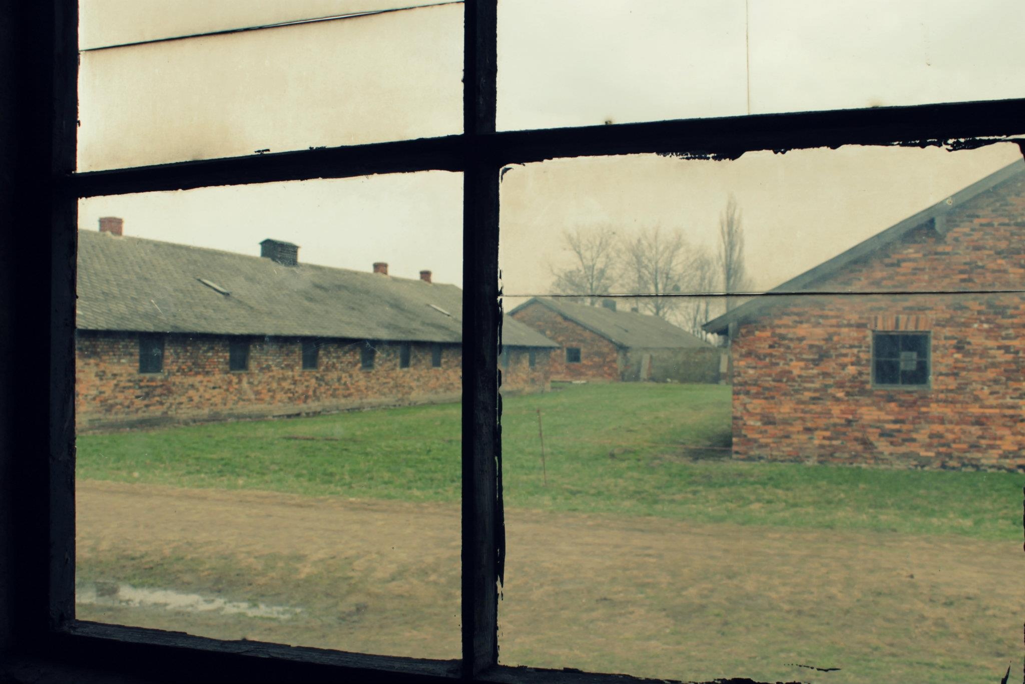 monument, travel, grass, tourism, residential district, capital, city, documentary, war, auschwitz, poland, dark, daytime, night, built structure, brown, HD Wallpaper