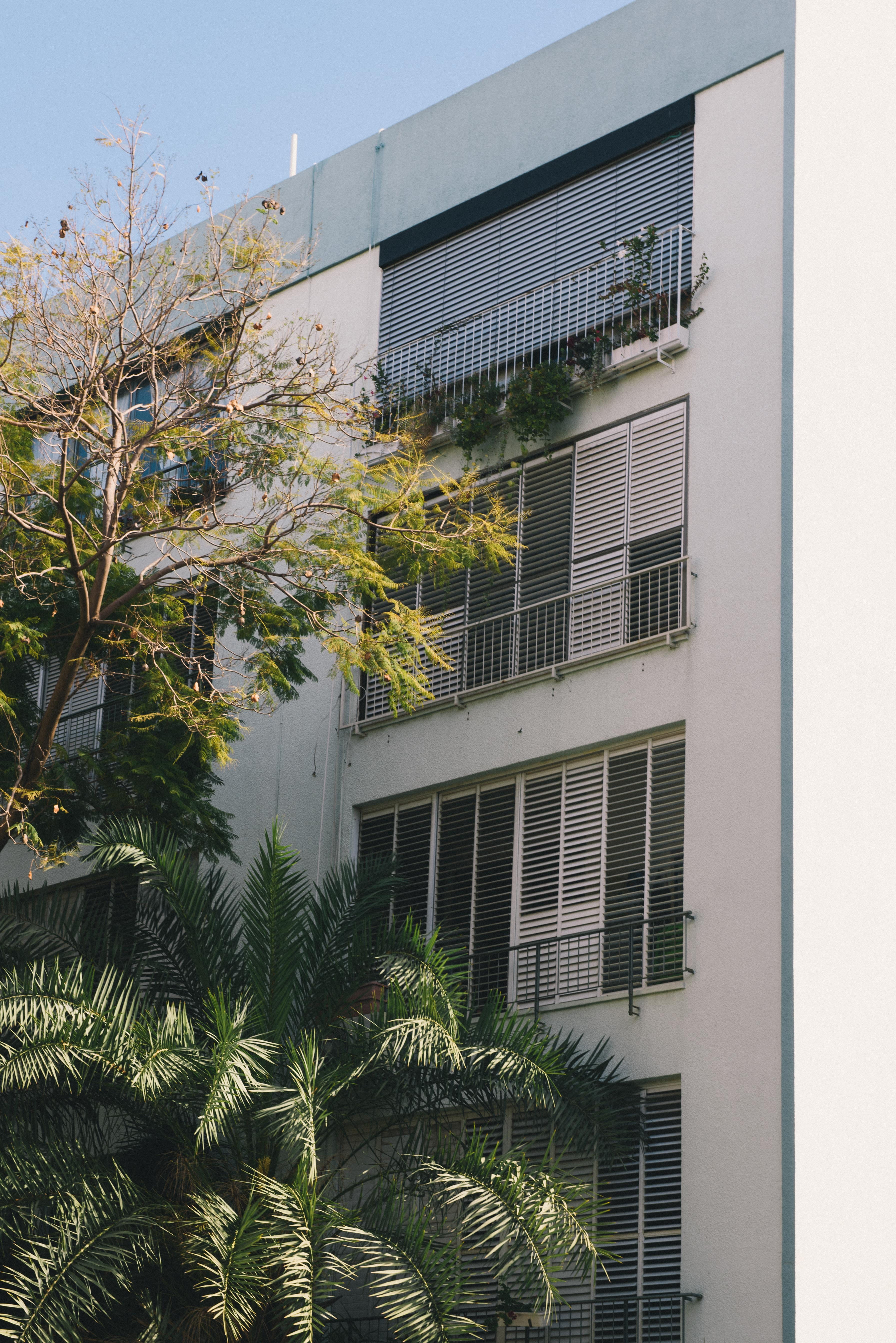 tel aviv, modern, no people, sunlight, sky, plant, tropical climate, growth, architecture, green color, bauhaus, tree, day, window, glass - material, minimalist, Phone HD Wallpaper