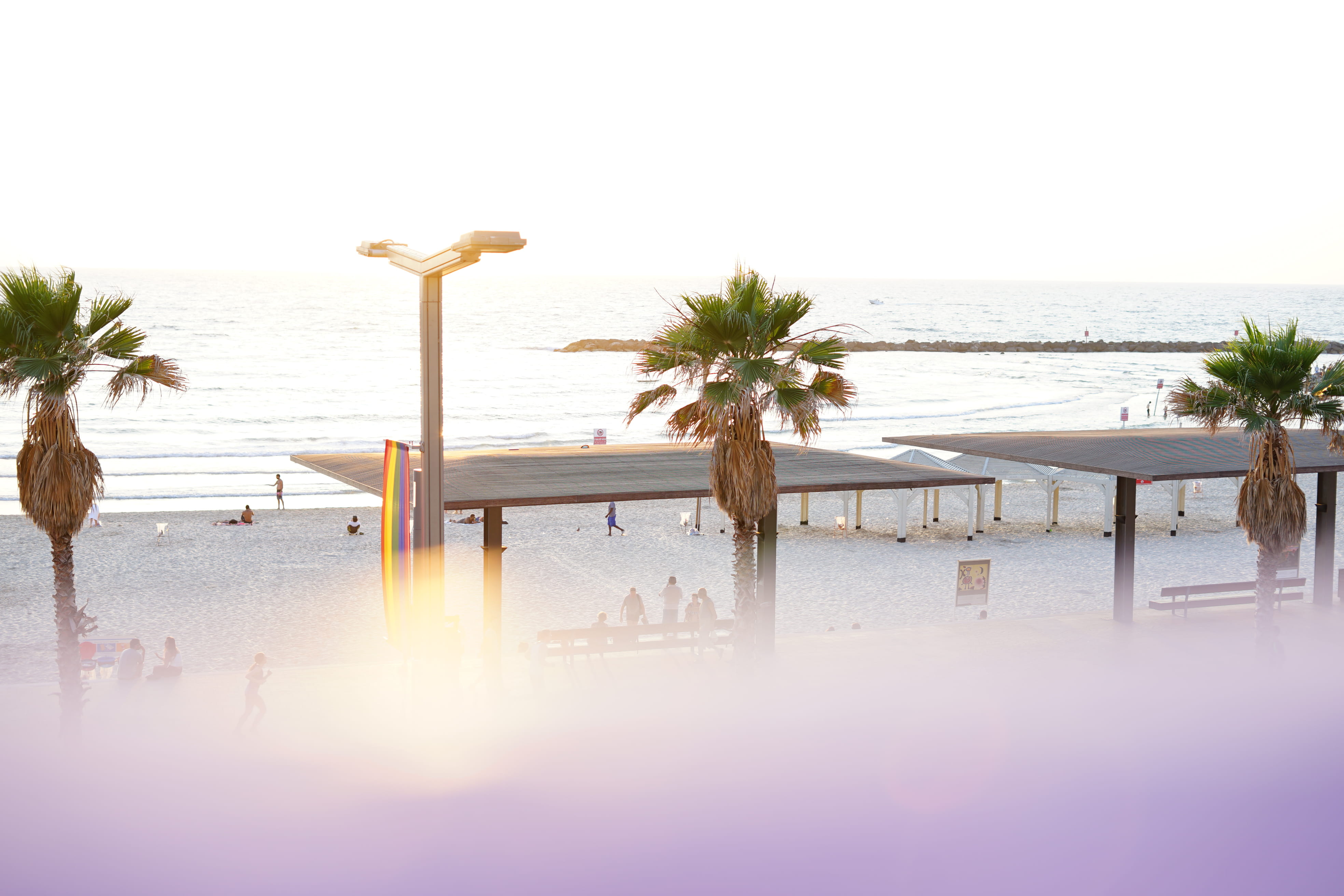 plant, sun beam, horizon over water, sea, sky, tel aviv, clear sky, land, water, rainbow flag, flag, palm tree, tranquility, beach, no people, horizon, HD Wallpaper