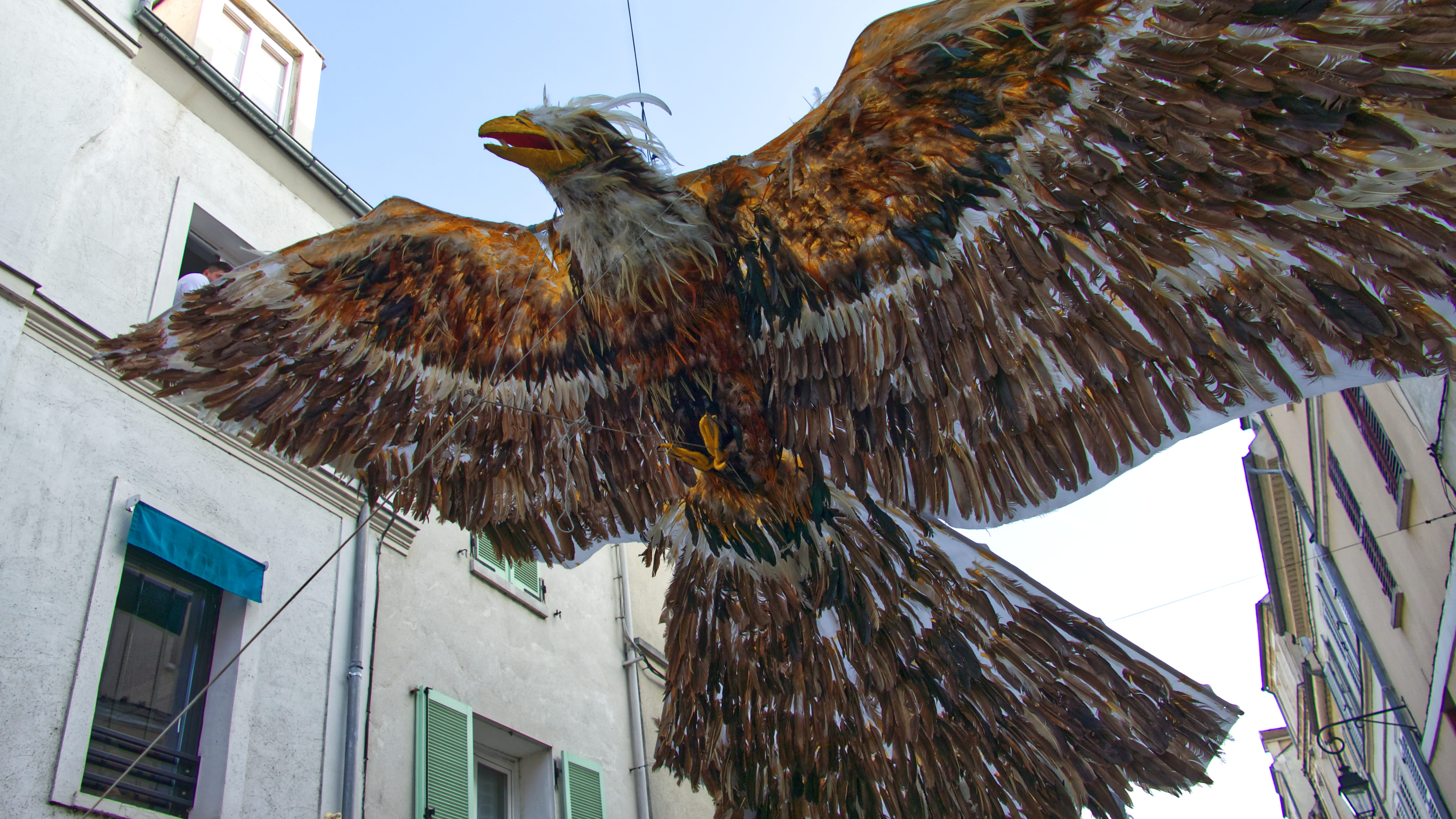 building exterior, no people, lagny-sur-marne, animal themes, accipiter, vulture, animal, animal wildlife, bird, building, herbs, built structure, 6 rue du chemin de fer, HD Wallpaper