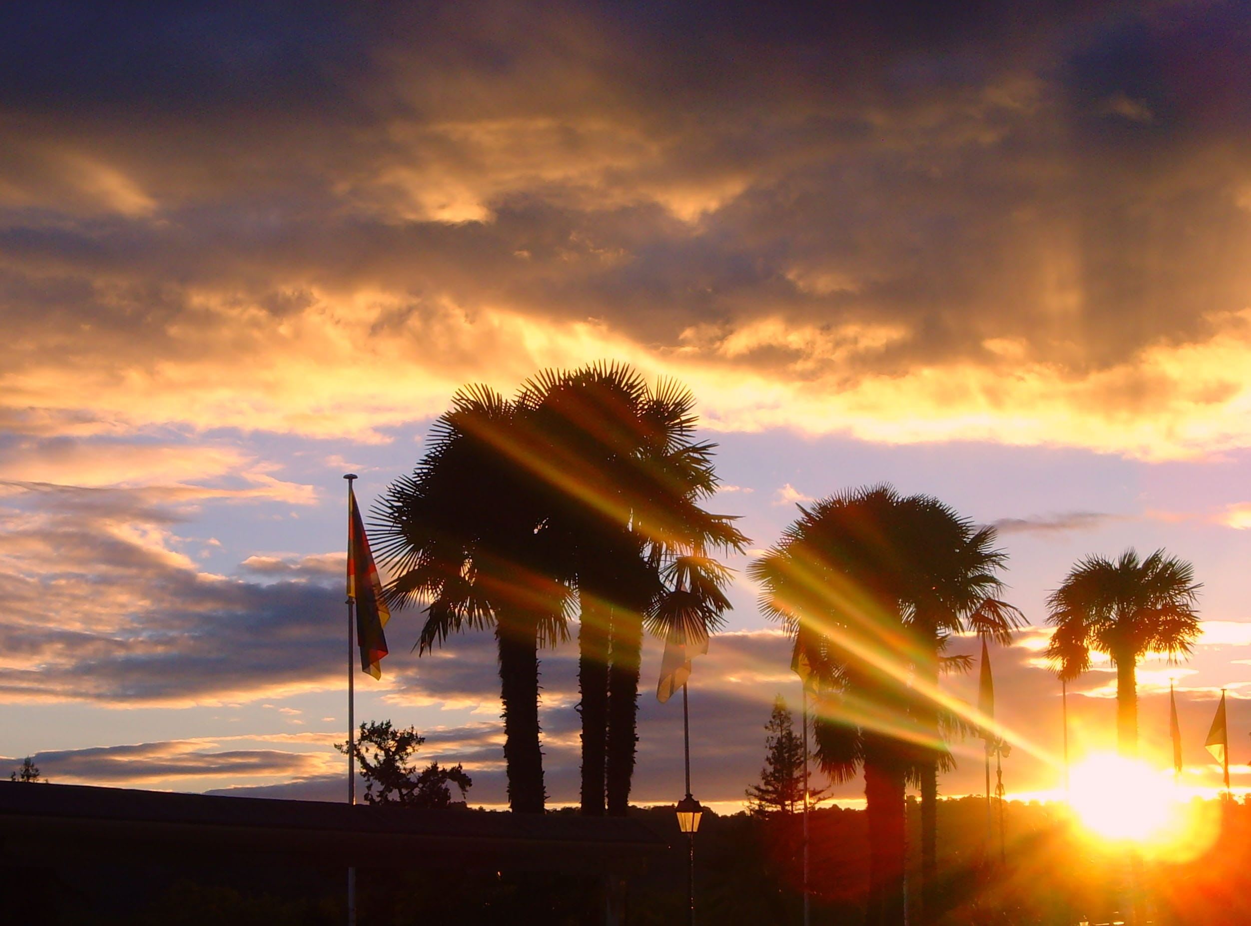 nature, orange color, scenics - nature, lens flare, sky, silhouette, 1080P, cloud - sky, no people, tranquil scene, plant, tranquility, sunbeam, Boulevard Des Pyrenees, HD Wallpaper