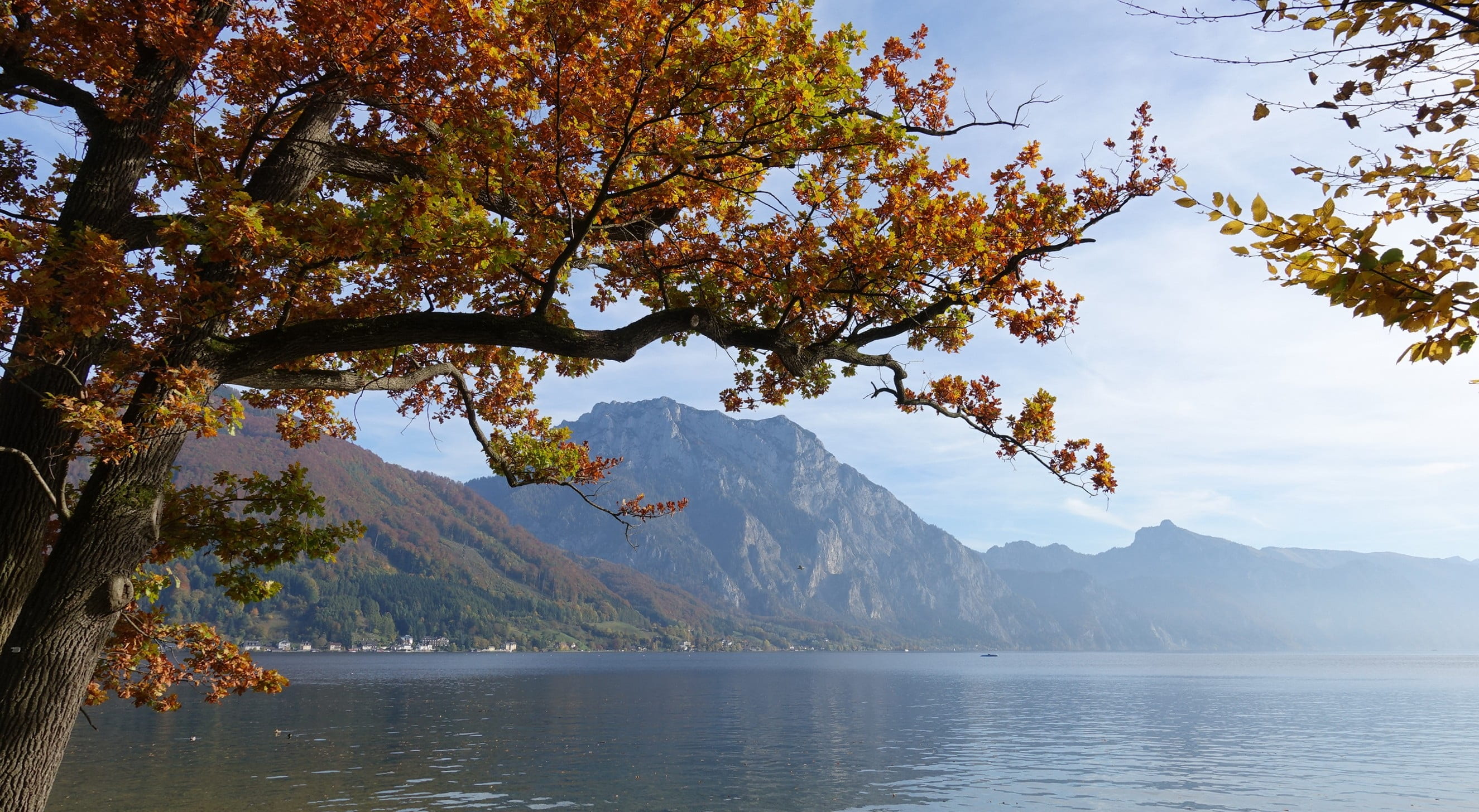 mountain peak, tree, scenics - nature, fall foliage, nature, outdoors, 2K, tranquil scene, plant, lake, beauty in nature, day, traunsee, travel destinations, HD Wallpaper
