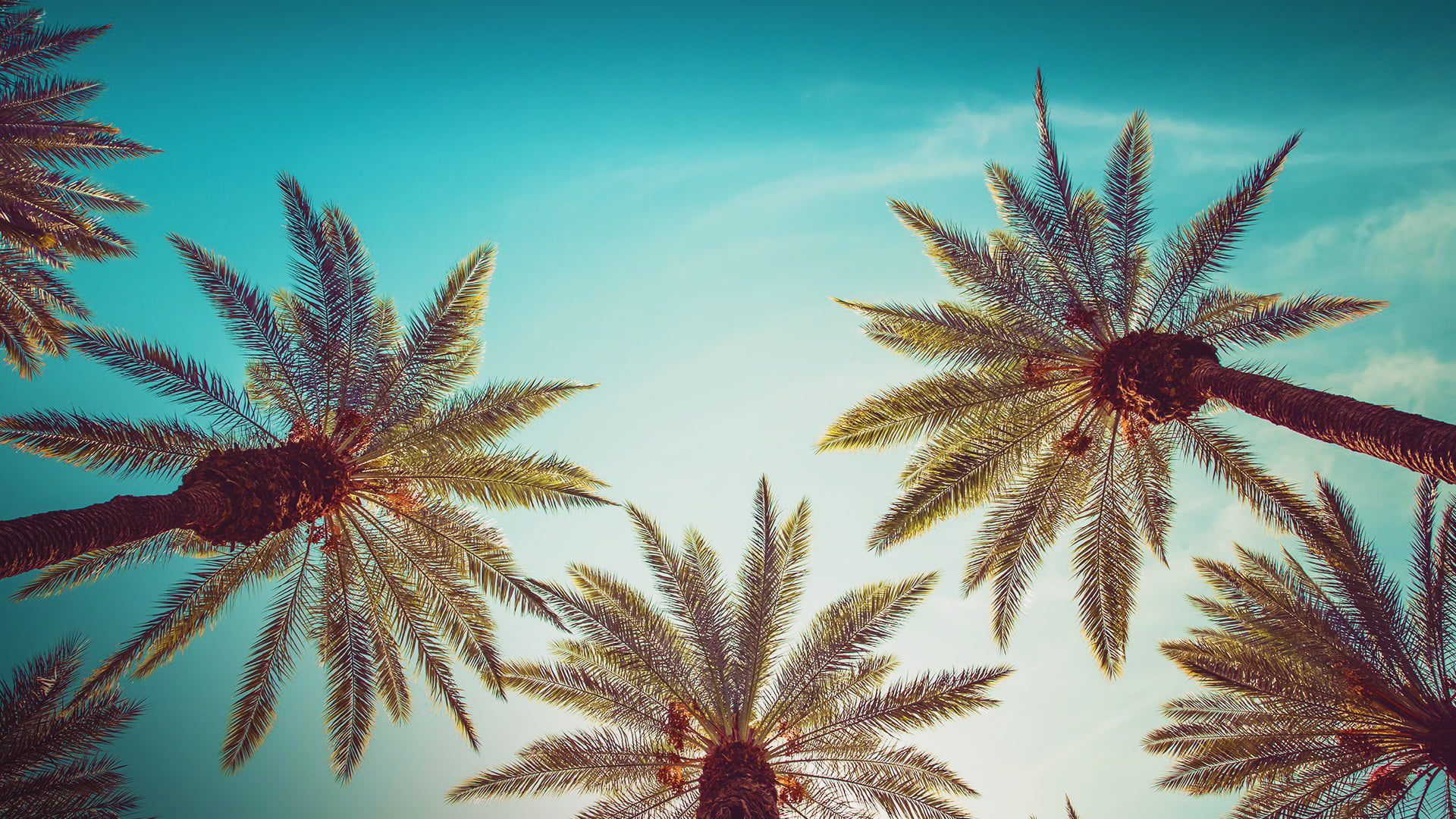 nature, 1080P, Los Angeles, clouds, USA, Beverly Hills, trees, leaves, California, sky, HD Wallpaper