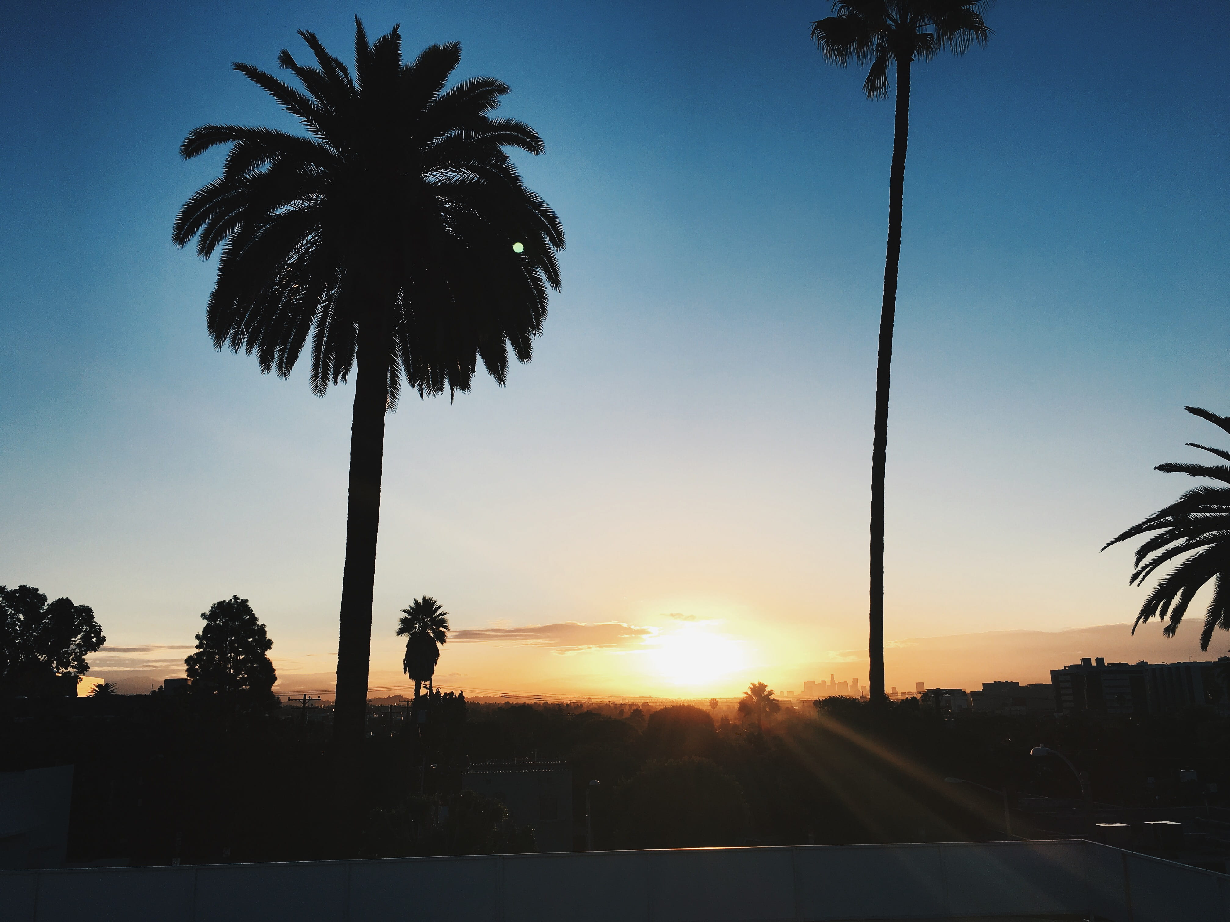 cityscape, skyline, clear sky, orange color, sun, nature, lens flare, morning, solar flare, tropical tree, california, sunlight, sunrise, bright, houses, HD Wallpaper