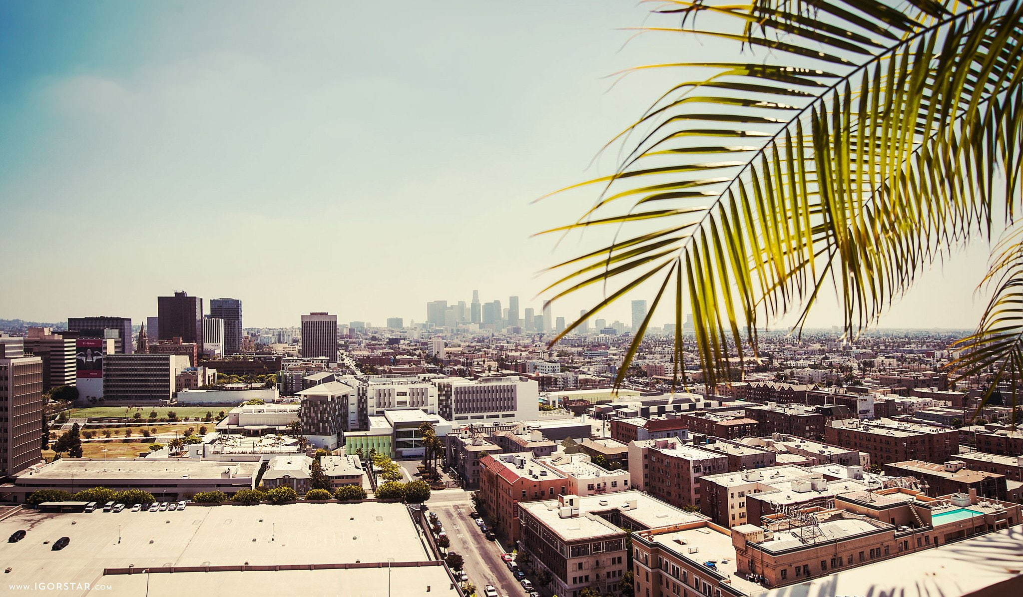 architecture, california, beach, cities, pacific, ocean, angeles, los, houses, beverly, 1080P, hills, sunrise, buildings, sunset, HD Wallpaper