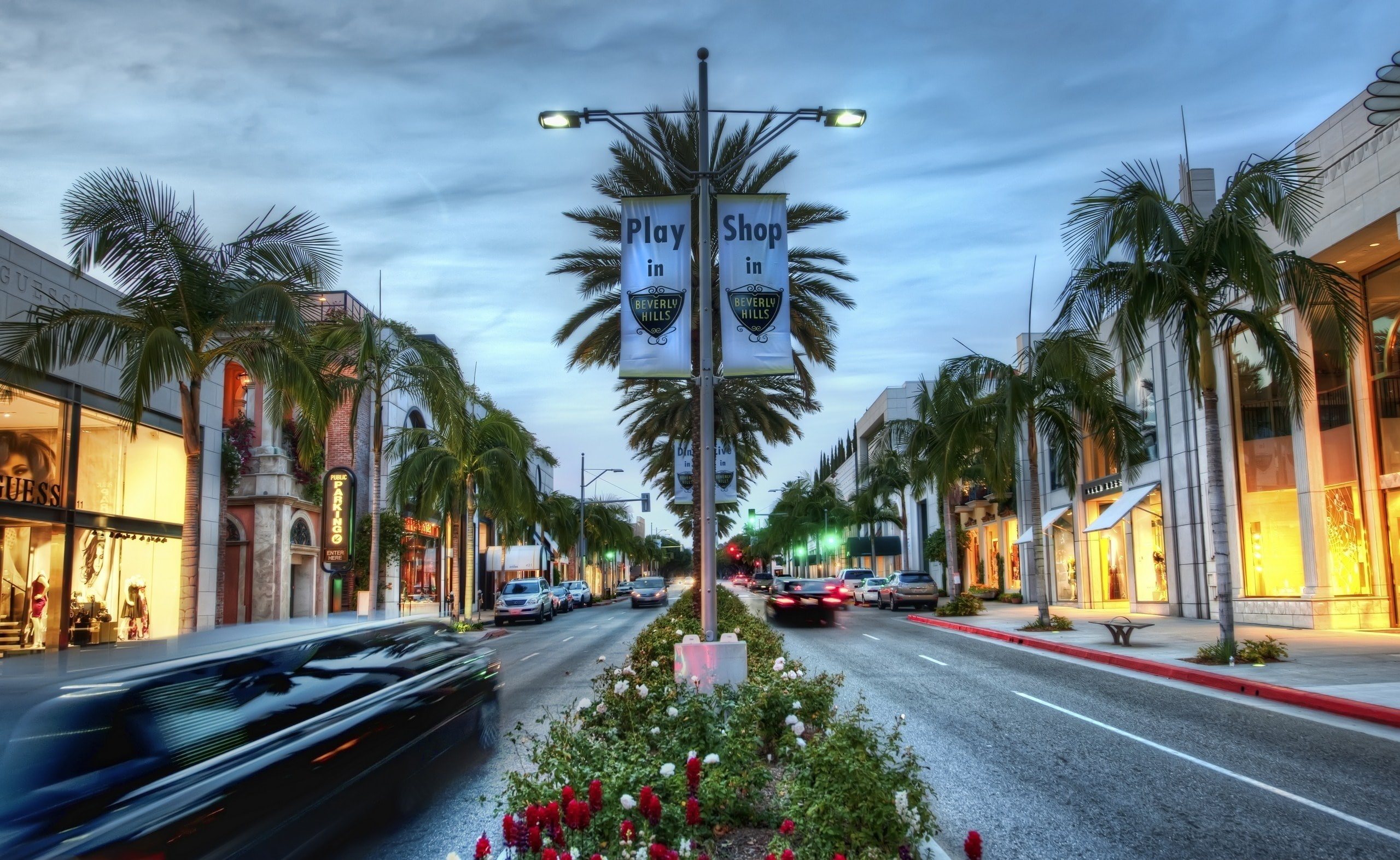 diminishing perspective, car, outdoors, city, 2K, palm tree, land vehicle, petaled, plant, road, white, tropical climate, architecture, California, United States, HD Wallpaper