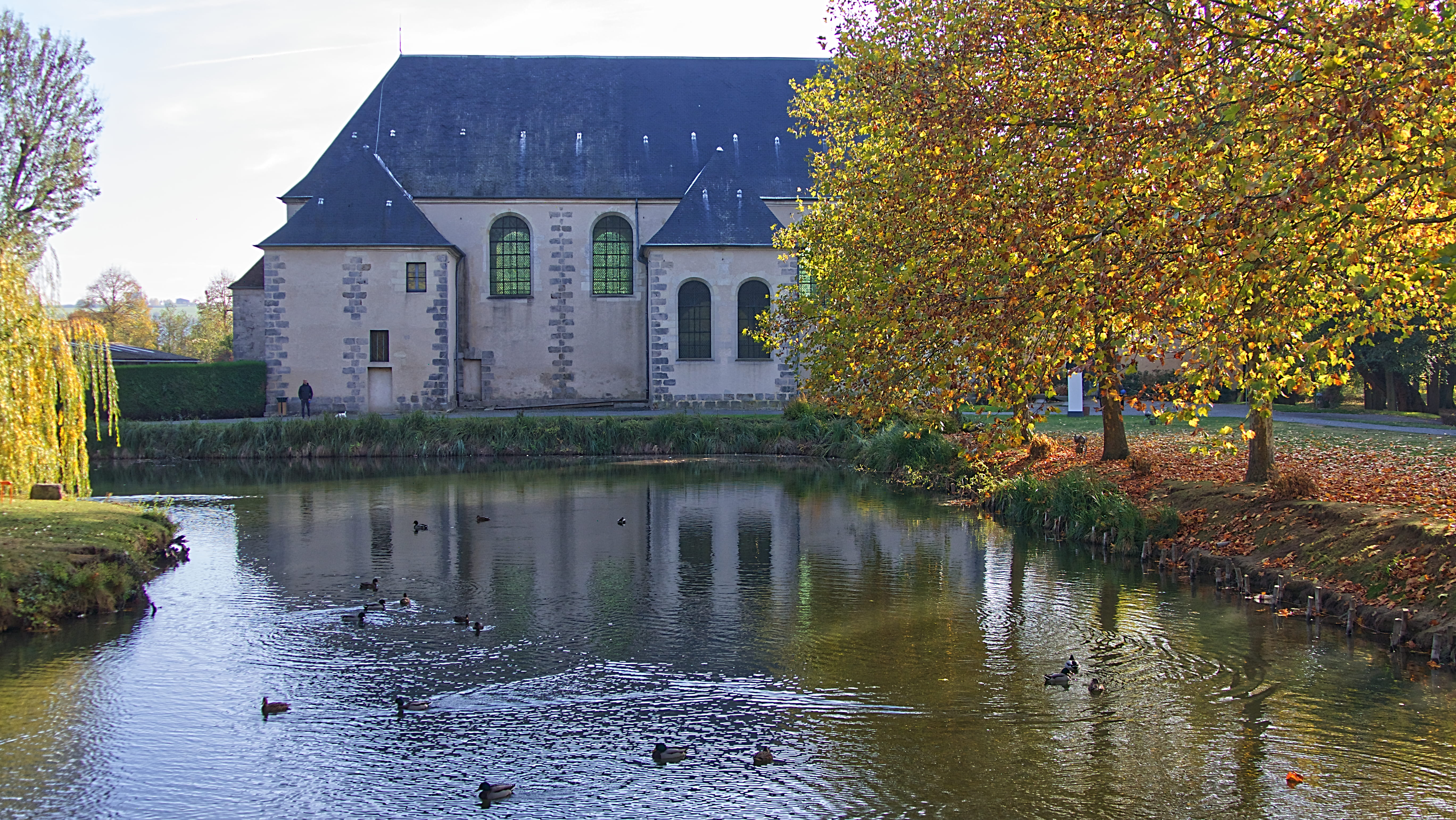 architecture, house, animal themes, built structure, change, church, animal, nature, day, tree, bird, outdoors, water, église, building exterior, lake, HD Wallpaper