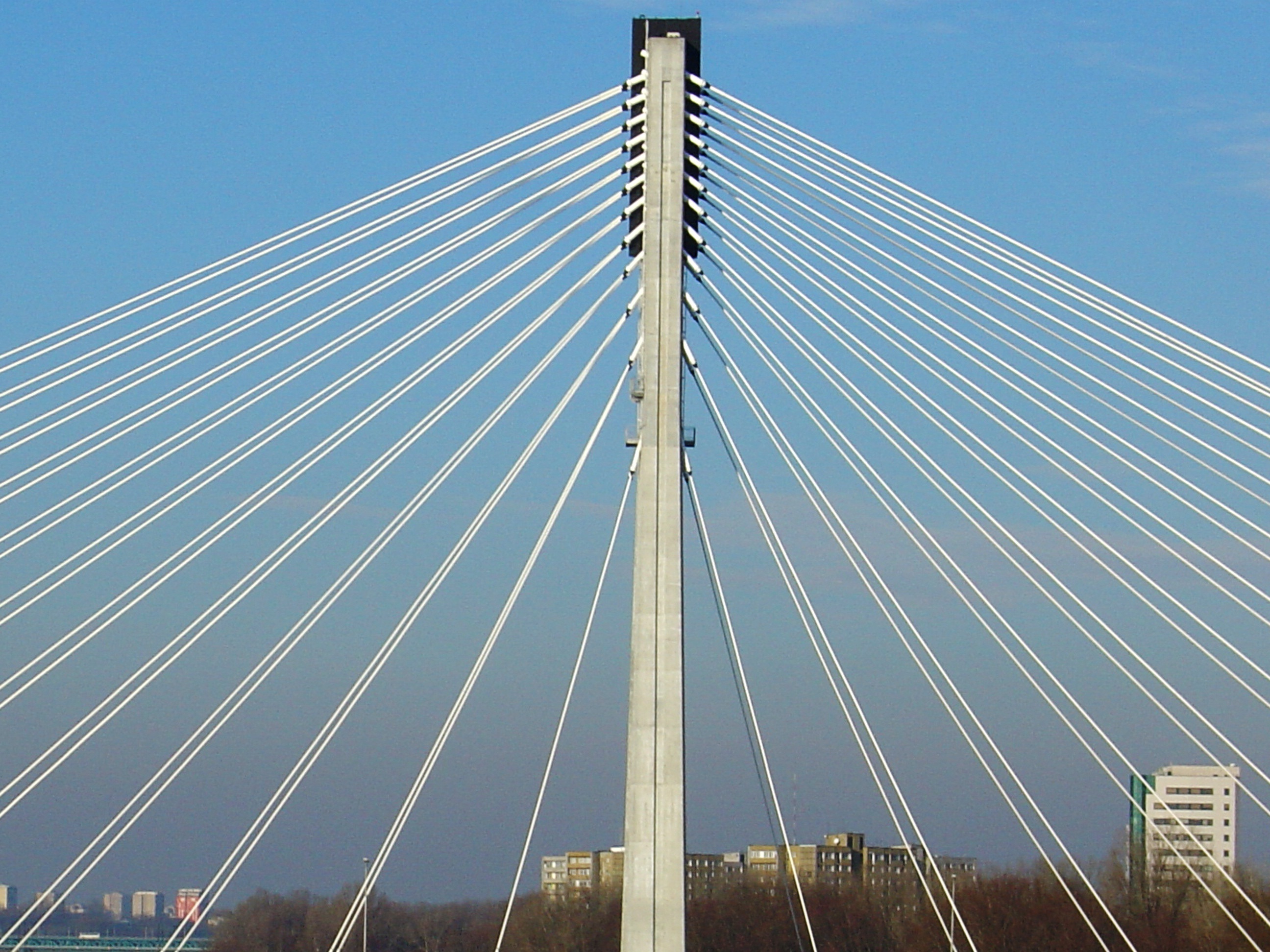 wisla, nature, cable-stayed Bridge, transportation, steel Cable, warsaw, outdoors, low angle view, the viaduct, poland, blue, day, the capital of the, cable, HD Wallpaper