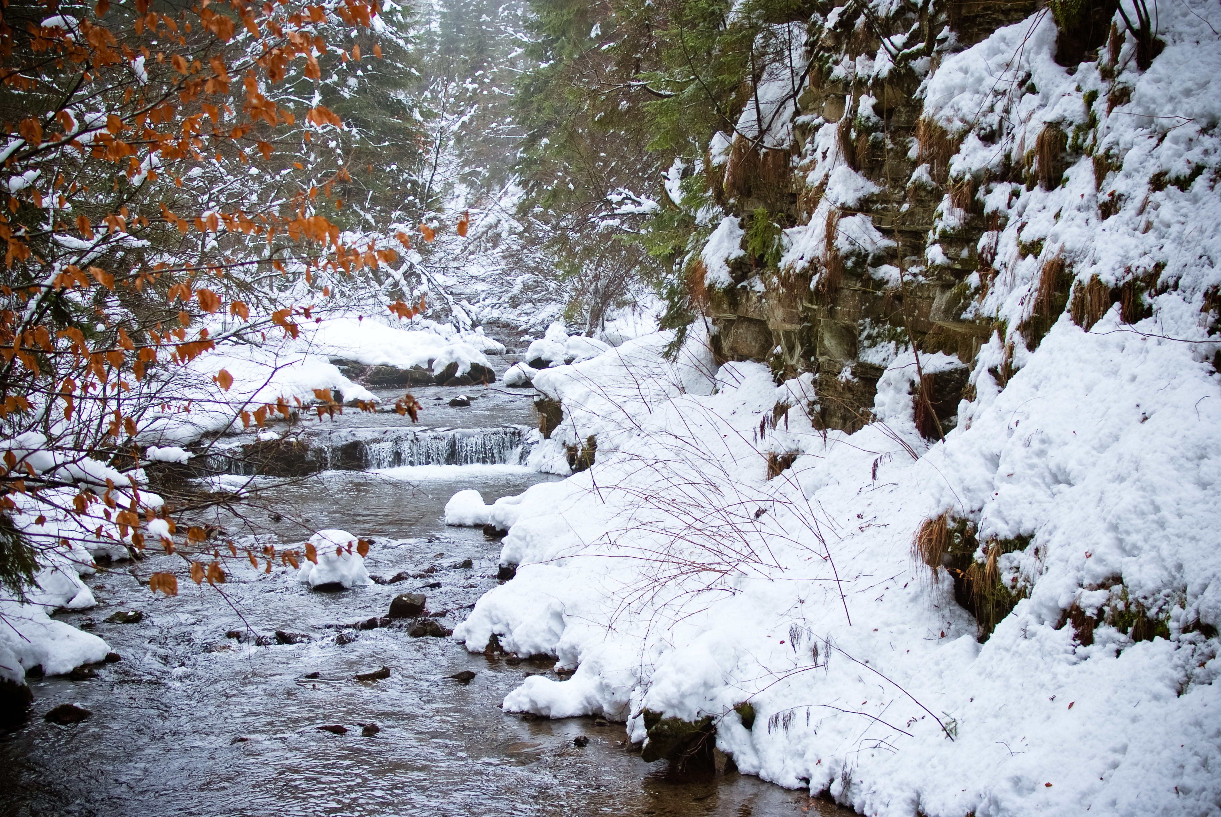 wisla, snow, flowing, tranquil scene, plant, winter, nature, white color, flowing water, cold temperature, tranquility, frozen, outdoors, water, tree, beauty in nature, HD Wallpaper