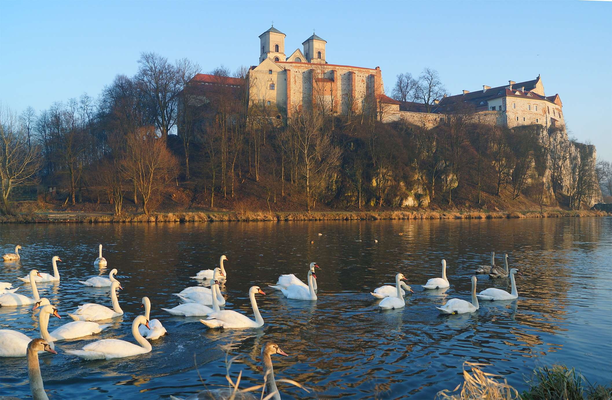 animal themes, sky, nature, krakow, water, swan, wisla, group of animals, monastery, animal, seagull, autumn, architecture, no people, benedictines, animals in the wild, HD Wallpaper